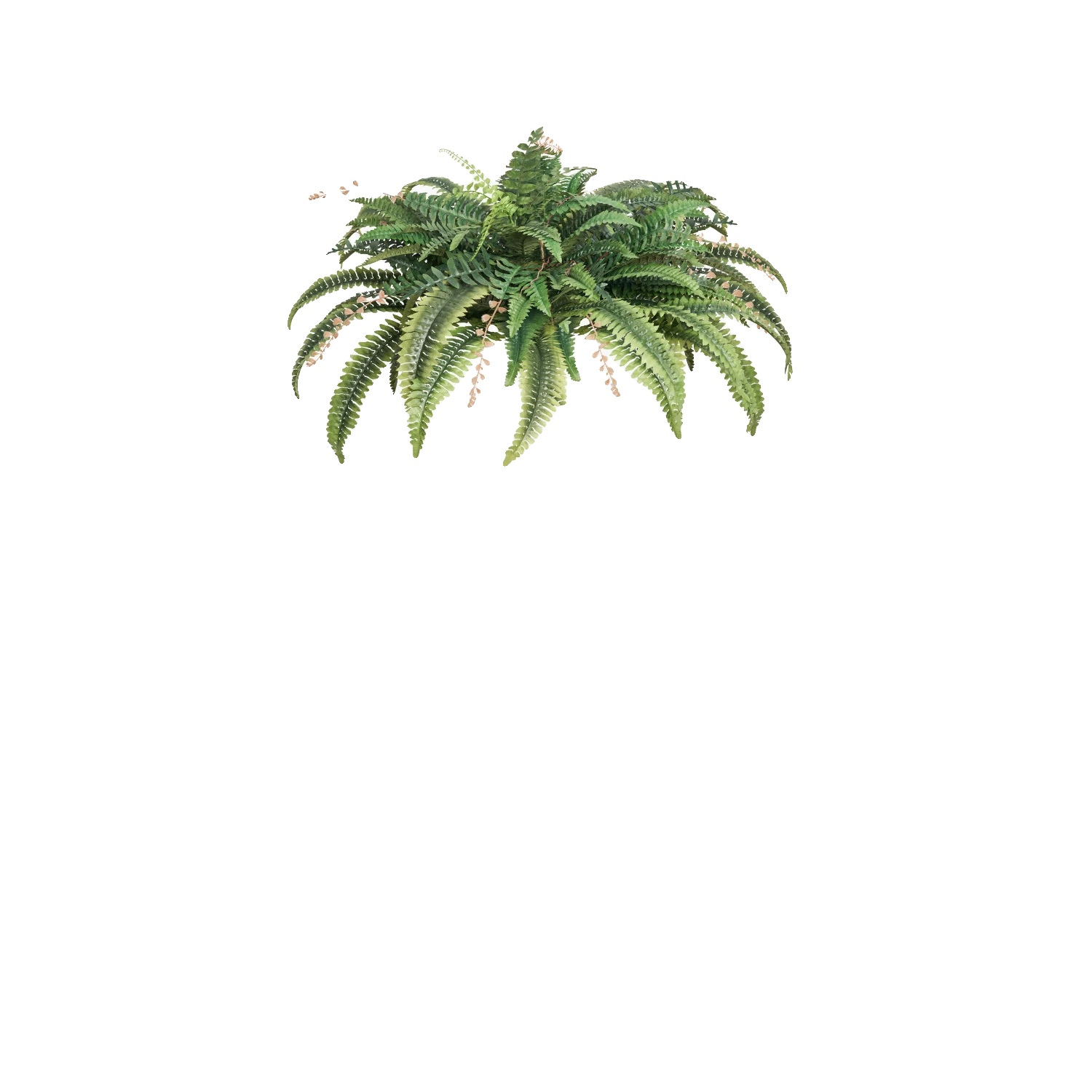 Künstliche Farne, Lebensechtes Design, Pflegeleicht, 42inch