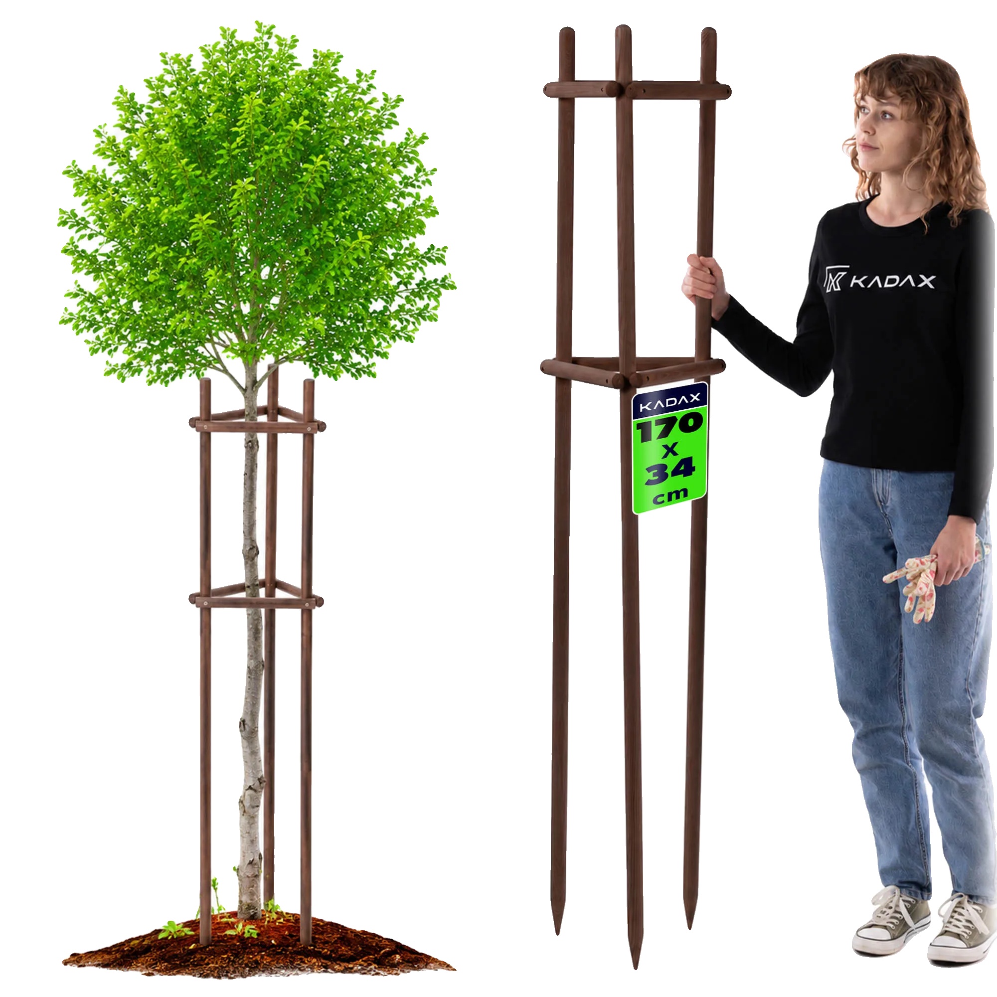 Pflanzenstütze, Buchenholz, 170 Cm Höhe, 28 Mm Pfahldurchmesser, Dreieckige Dreibeinstruktur, Schnelle Montage