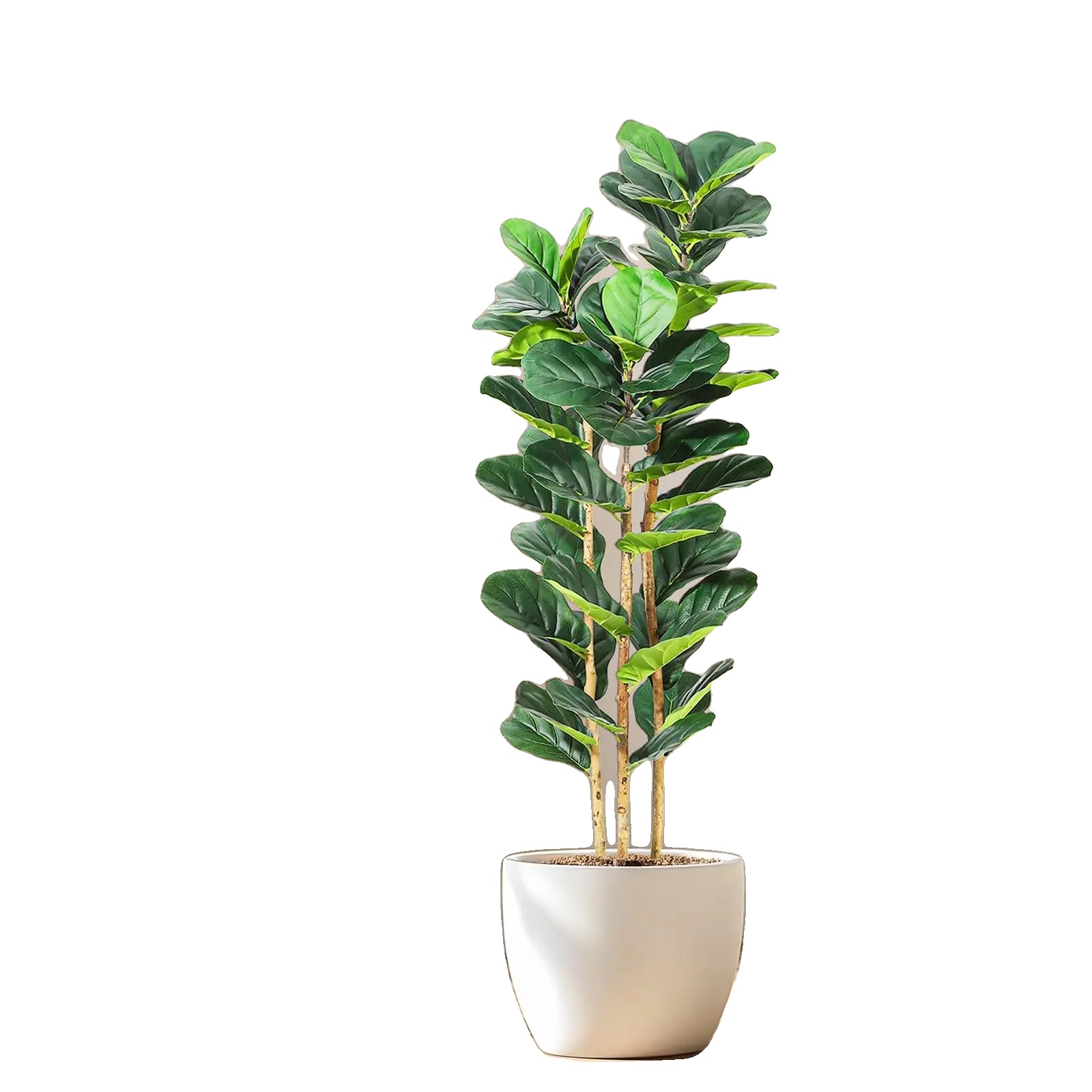 Künstlicher Geigenfeigenbaum, Realistisches Design, Pflegeleicht, Grün