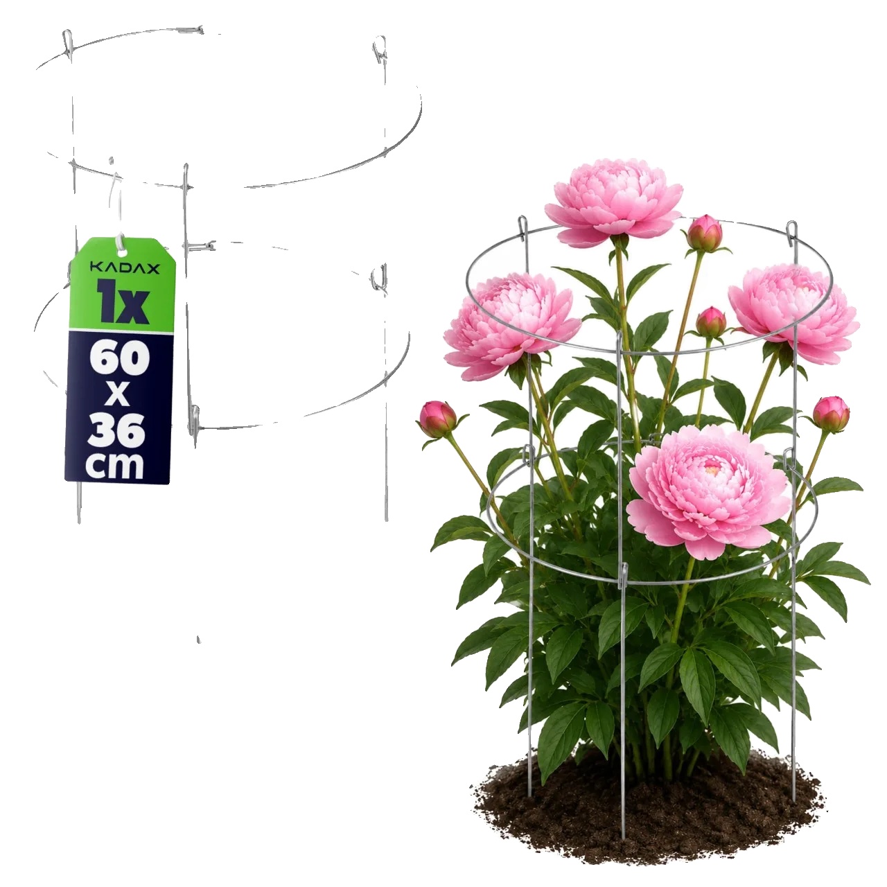 Pflanzenstütze, Stahlmaterial, 60 Cm Höhe, Unterstützt Verschiedene Blumen, Langlebiges Design, Elegante Ästhetik