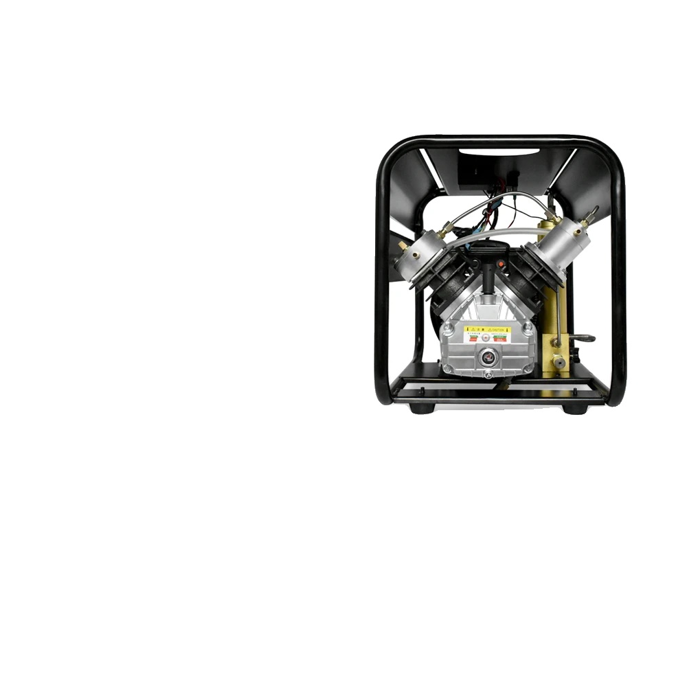 Luftpumpe, Hochdruck, Auto-stopp Mit Integriertem Zwei-stufen-filter, Kann 0-6,8l Füllen, 220v