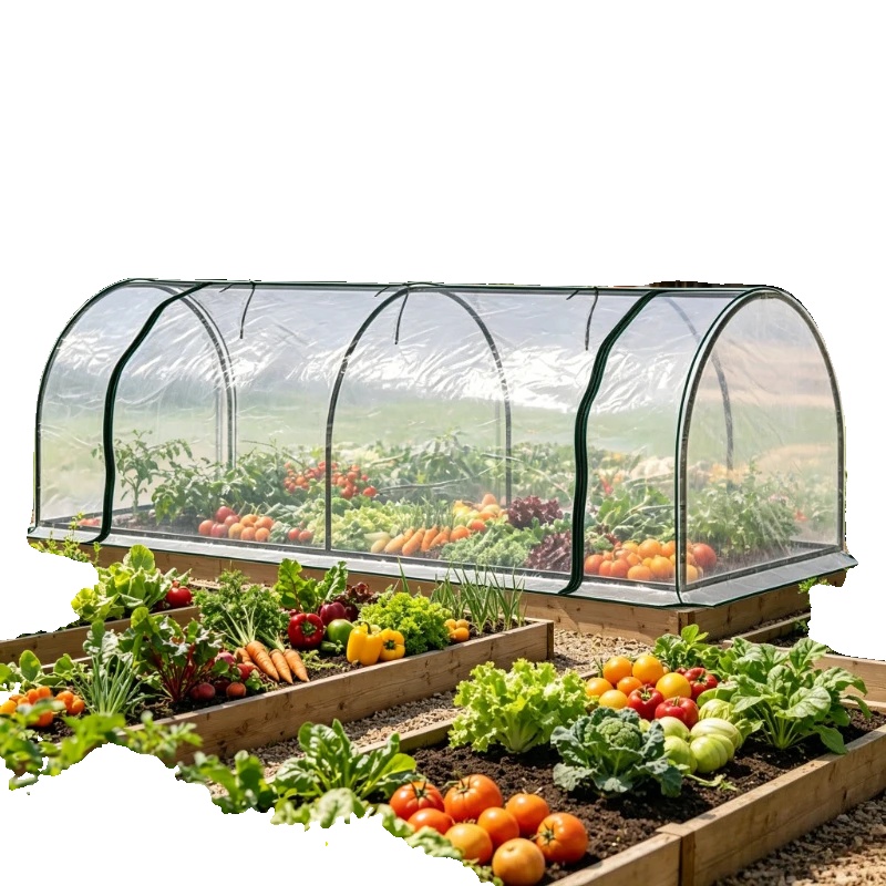 Gartentunnel-gewächshaus, 3 M X 6 M Maße, Hochwertiges Langlebiges Polyethylenmaterial, Uv-schutz, Wetterbeständiges Design, Geeignet Für Verschiedene