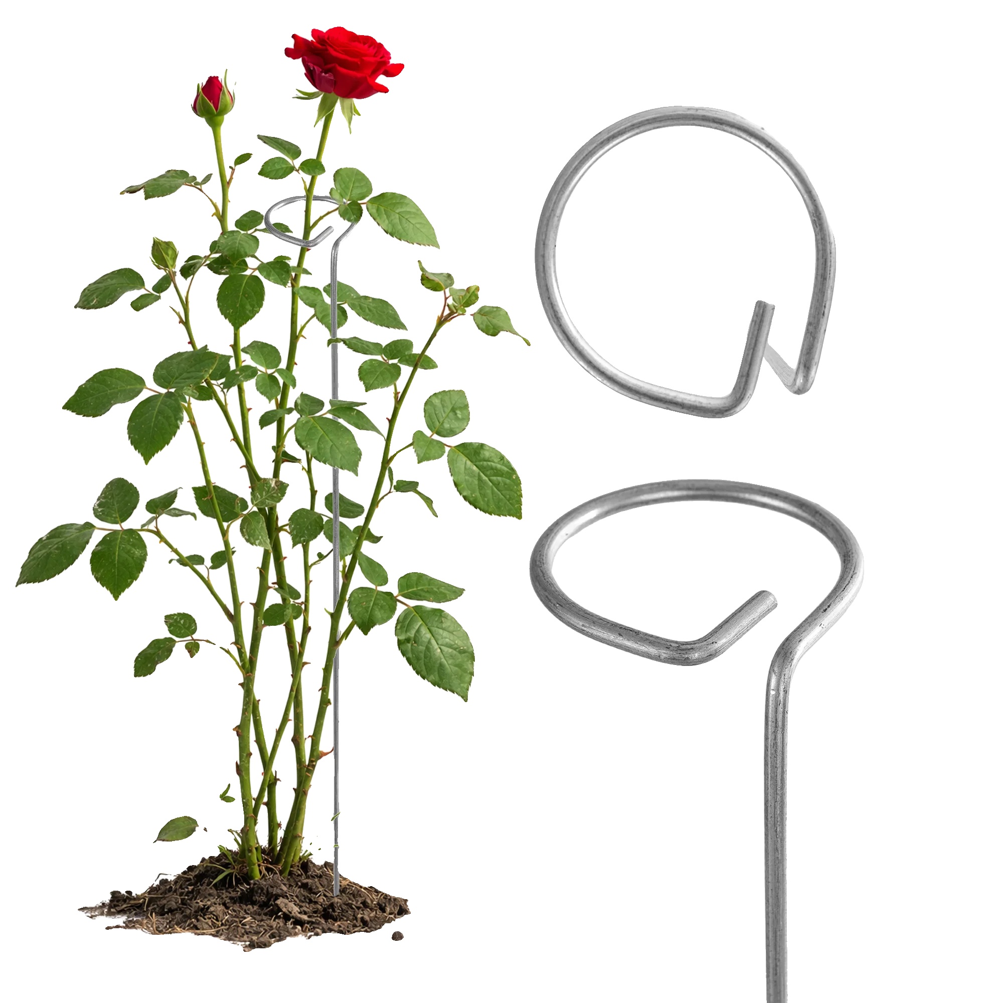 Blumenstütze, Pulverbeschichteter Stahl, 90 Cm Höhe, Zur Unterstützung Von Pflanzen, Korrosionsbeständig, Uv-geschützt