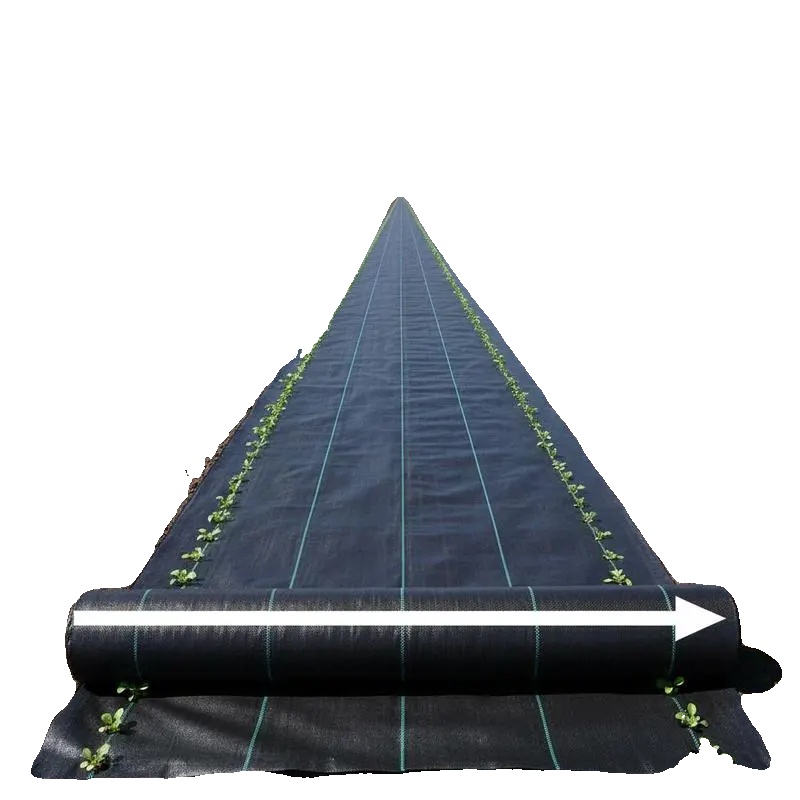 Anti-rasenmatte, Langlebiges Pp-material, Uv-beständig, Armeegrün