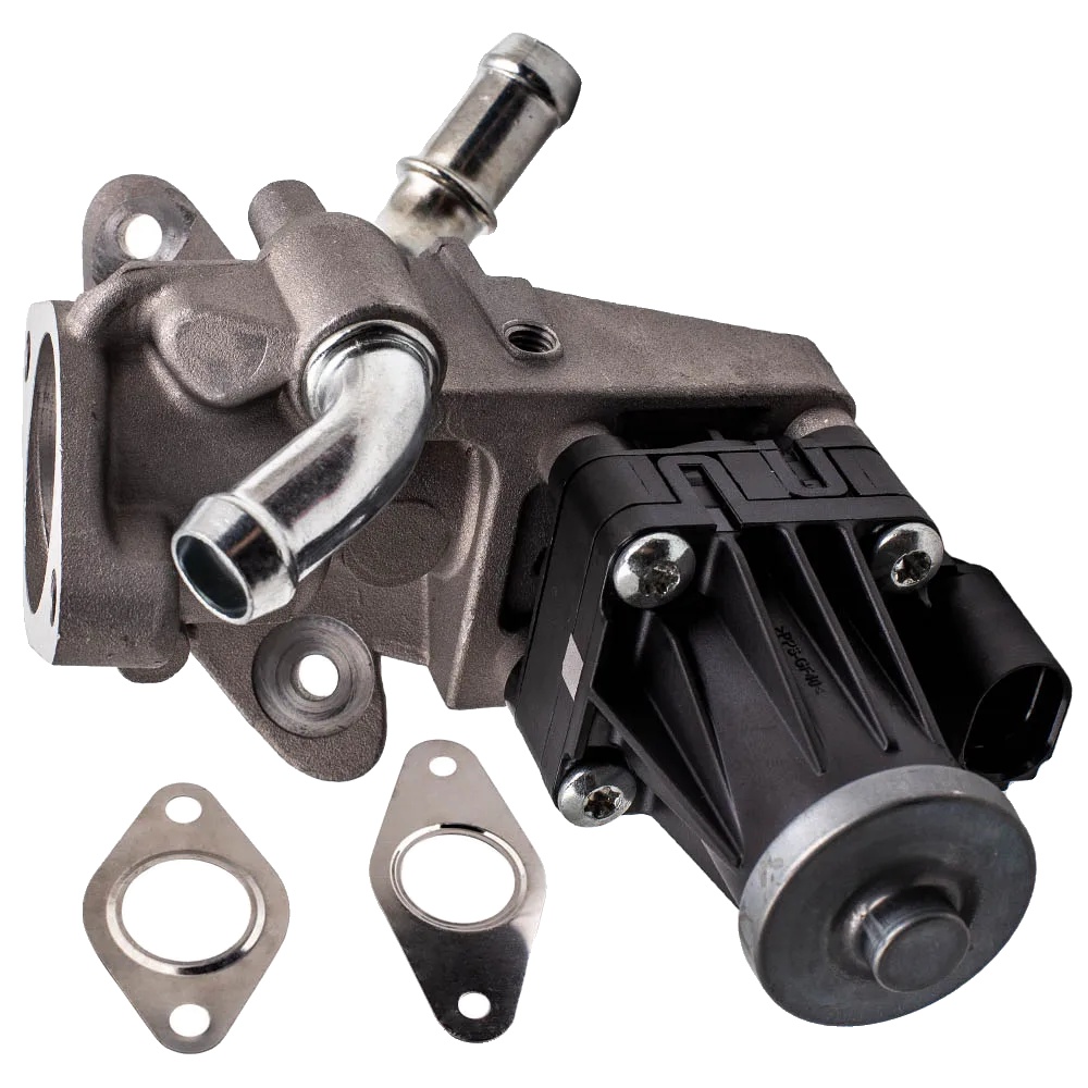 Egr-ventil, Metallkonstruktion, Kompatibilität Mit Ford Ranger Und Transit/peugeot Boxer/citroën Relay 2.2 Diesel, Modell Bk2z9d475a
