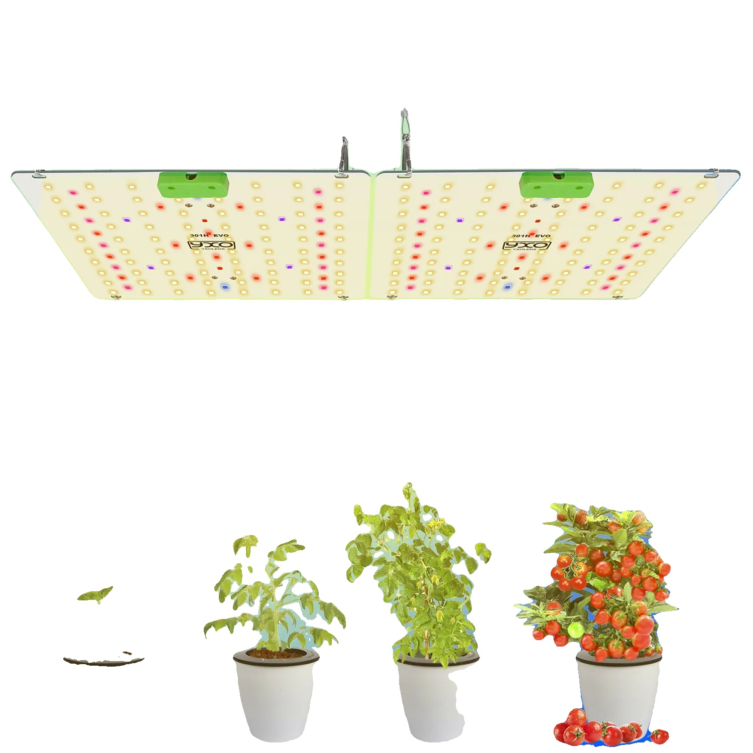 Led-wachstumslampe, Vollspektrum, Innenraum Pflanzenbeleuchtung, 180w