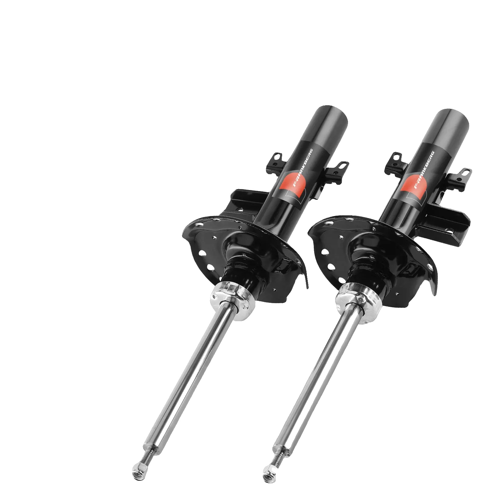 Stoßdämpfer, Gasdrucktyp, Maximale Länge 540 Mm, Minimale Länge 307 Mm, Einbauposition Hinterachse, Kompatibel Mit Land Rover Freelander 2 (2006-2014)