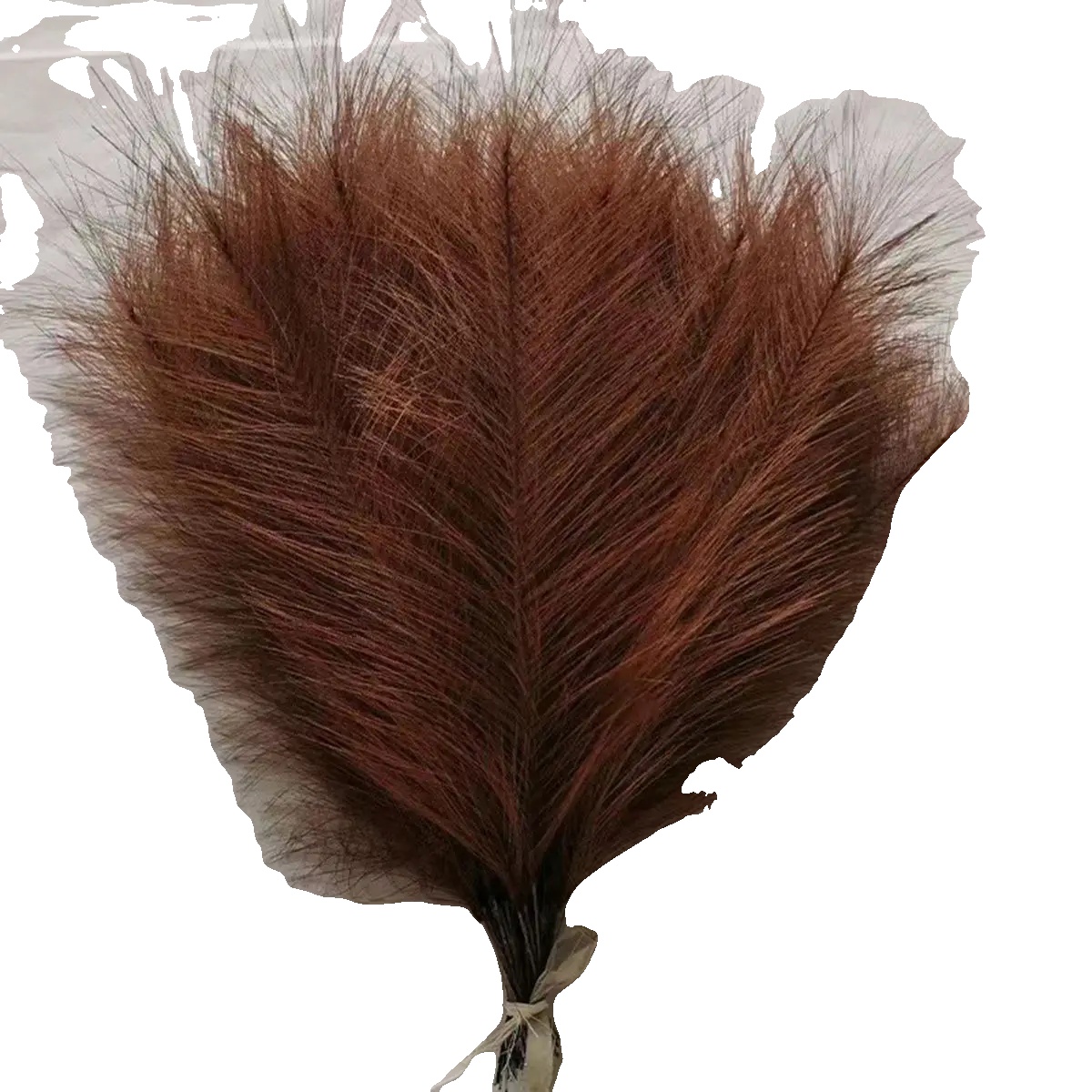Künstliches Pampasgras, Vielseitige Dekoration, Langlebiges Design, 5pcs, Farbe 2