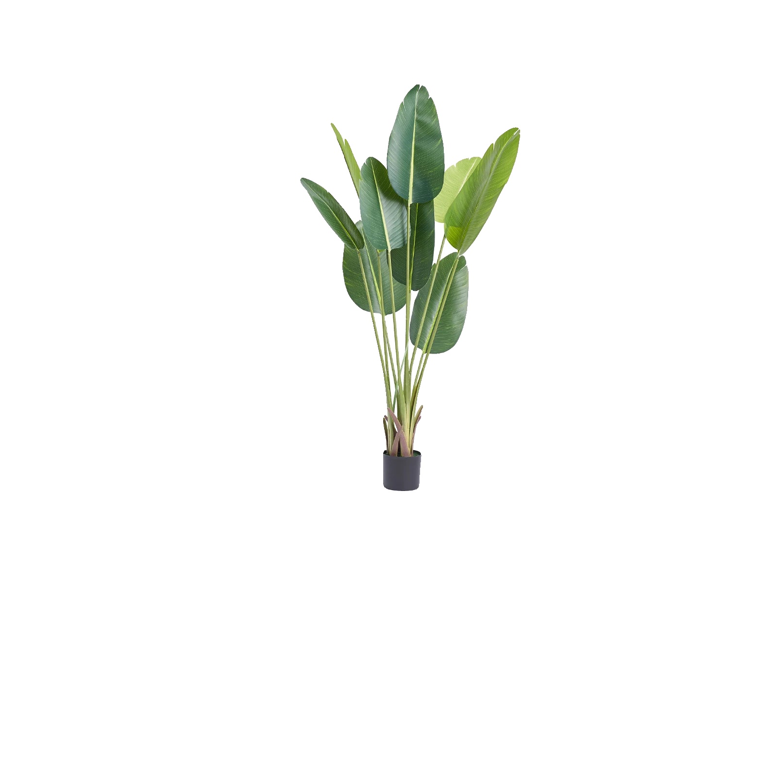 Künstliche Palme, Haustierfreundlich, Pflegeleicht, 5ft 1
