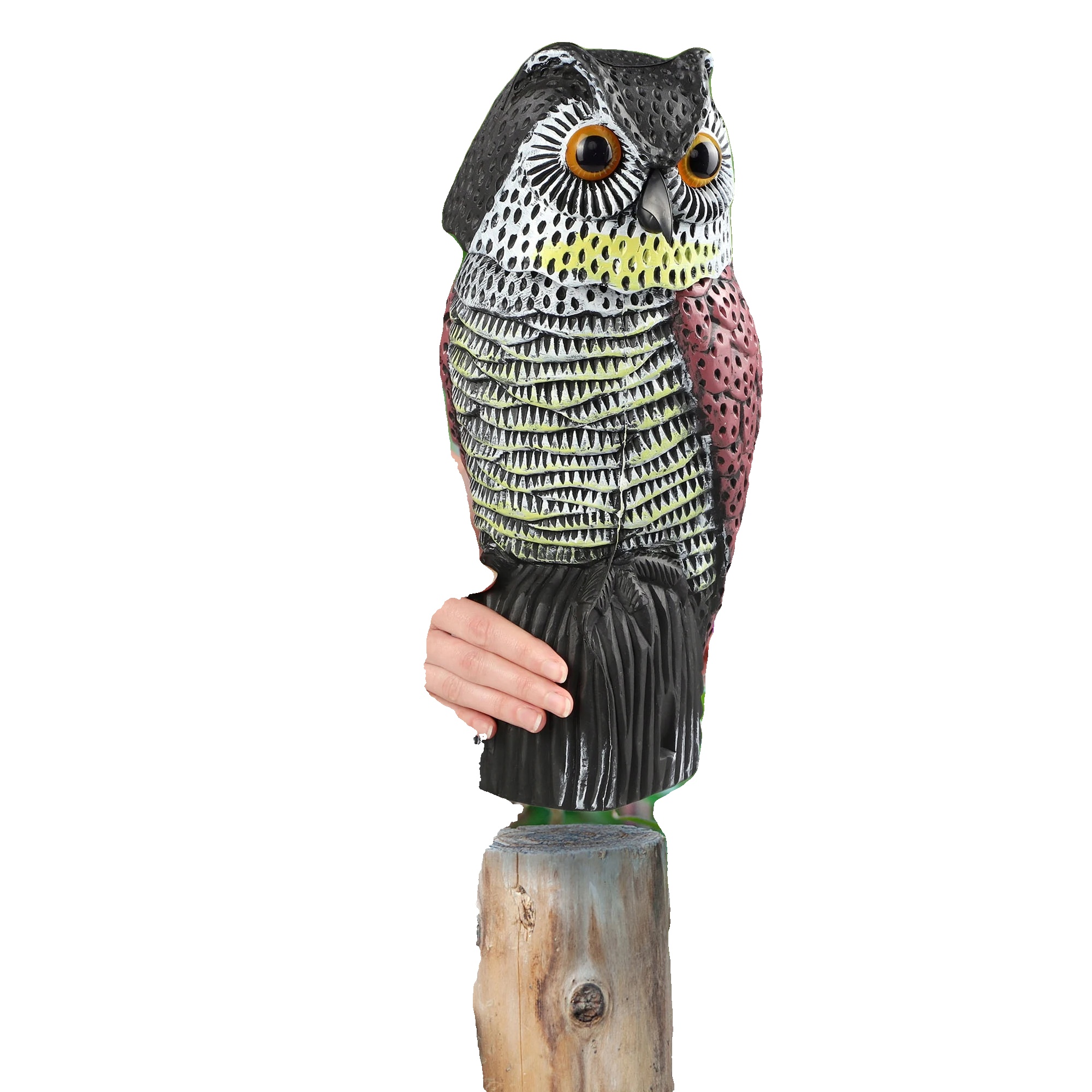 Vogelschreck, Langlebiges Plastik, Höhe 37 Cm, Breite 17 Cm, Dicke 16 Cm, Für Den Außenbereich