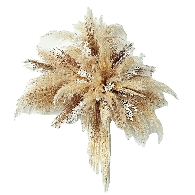 Pampasgras, Ideal Für Hochzeiten, Vielseitige Wohnkultur, Beige