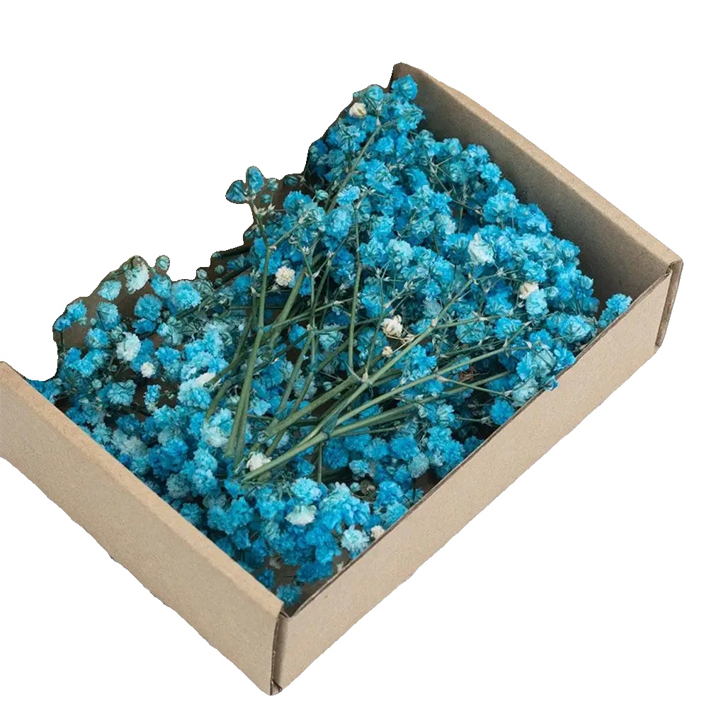 Gypsophila Trockenblumen, Lebendige Farben, Vielseitige Blumenarrangements, Blau