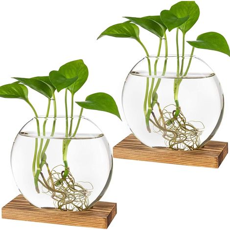 Set Aus 2 Glas-anzuchtstationen – Runder Topf Mit Holzständer Für Hydrokulturpflanzen – Dekoratives Terrarium Für Zuhause Und Büro (braun)
