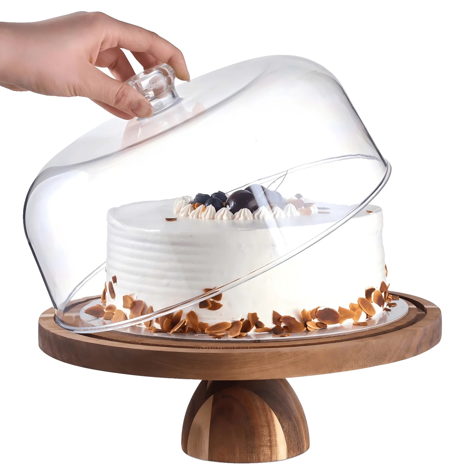 Präsentationsstand, Rundes Holzdesign, Bruchsichere Abdeckung, Braun