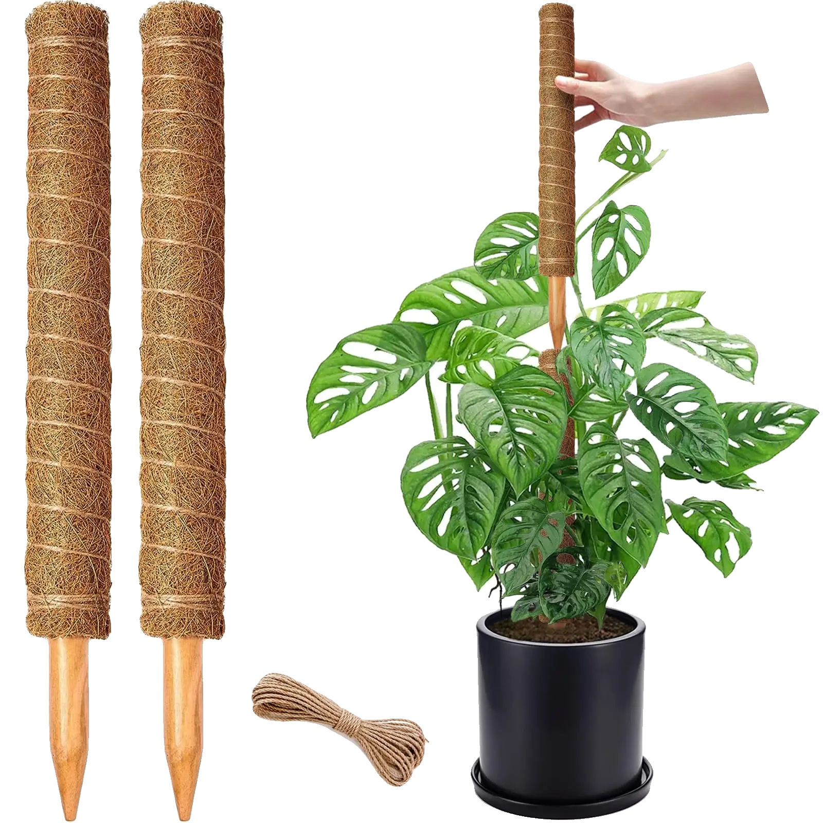 Moosstab, Stapelbares Design, Natürliches Kokosmaterial, 2 Stück-a, M 43cm-a