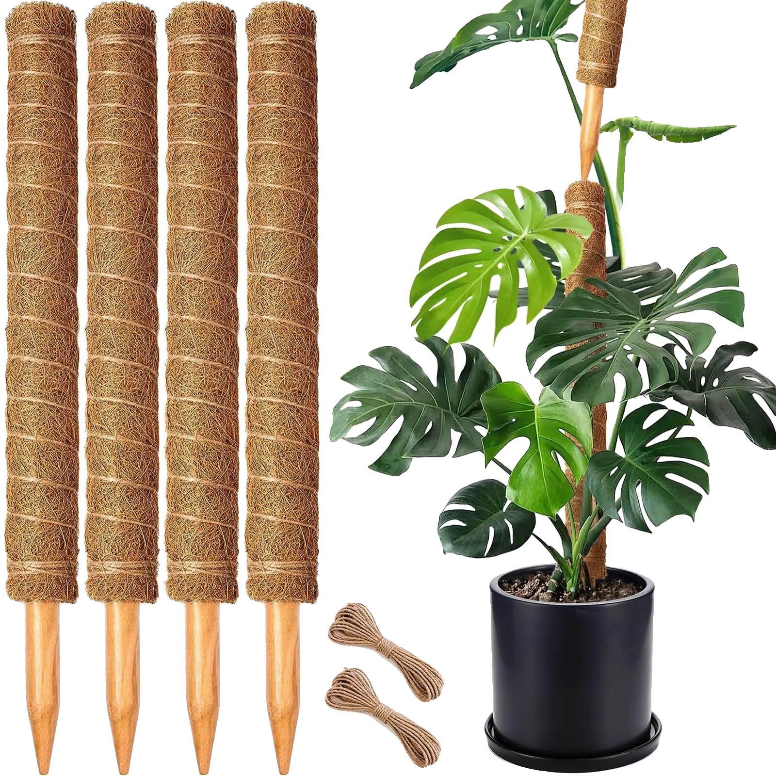 Moosstab, Stapelbares Design, Natürliches Kokosmaterial, 4 Stück-b, L 53cm