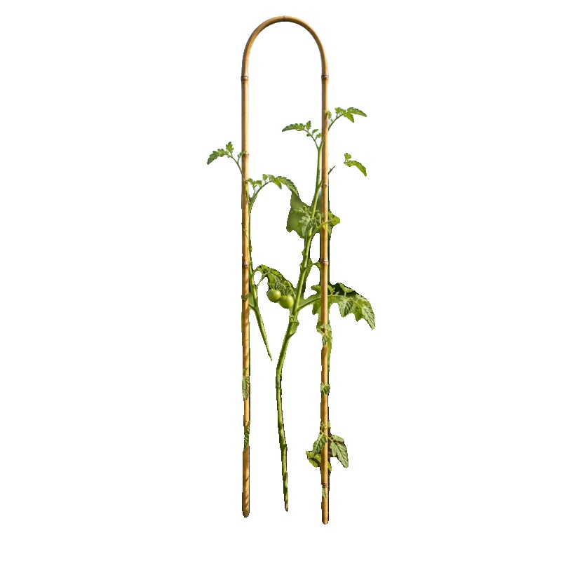Pflanzenstütze, Bambusmaterial, 105 Cm X 15 Cm Abmessungen, Geeignet Für Kletterpflanzen, Stabile Wachstumsunterstützung, Umweltfreundliches Design
