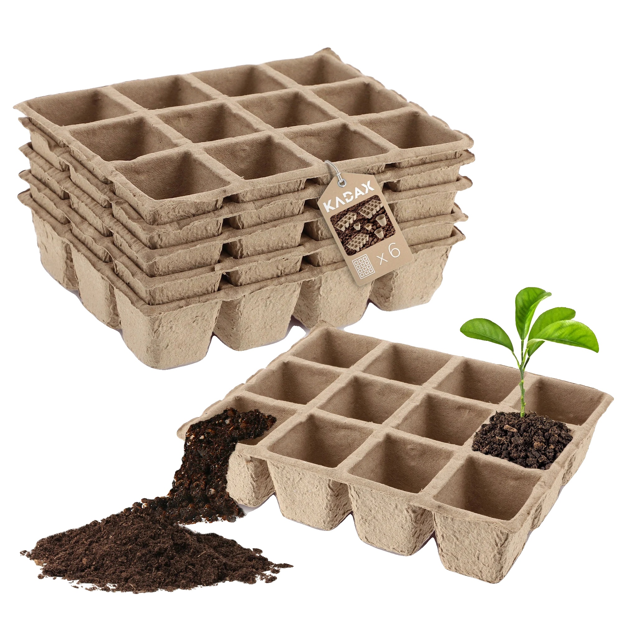 Setzlinge Töpfe, Biologisch Abbaubare Torf, 6 Cm X 12 Cm, Geeignet Für Empfindliche Pflanzen, Unterstützt Sofortige Blüte, Verbessert Die