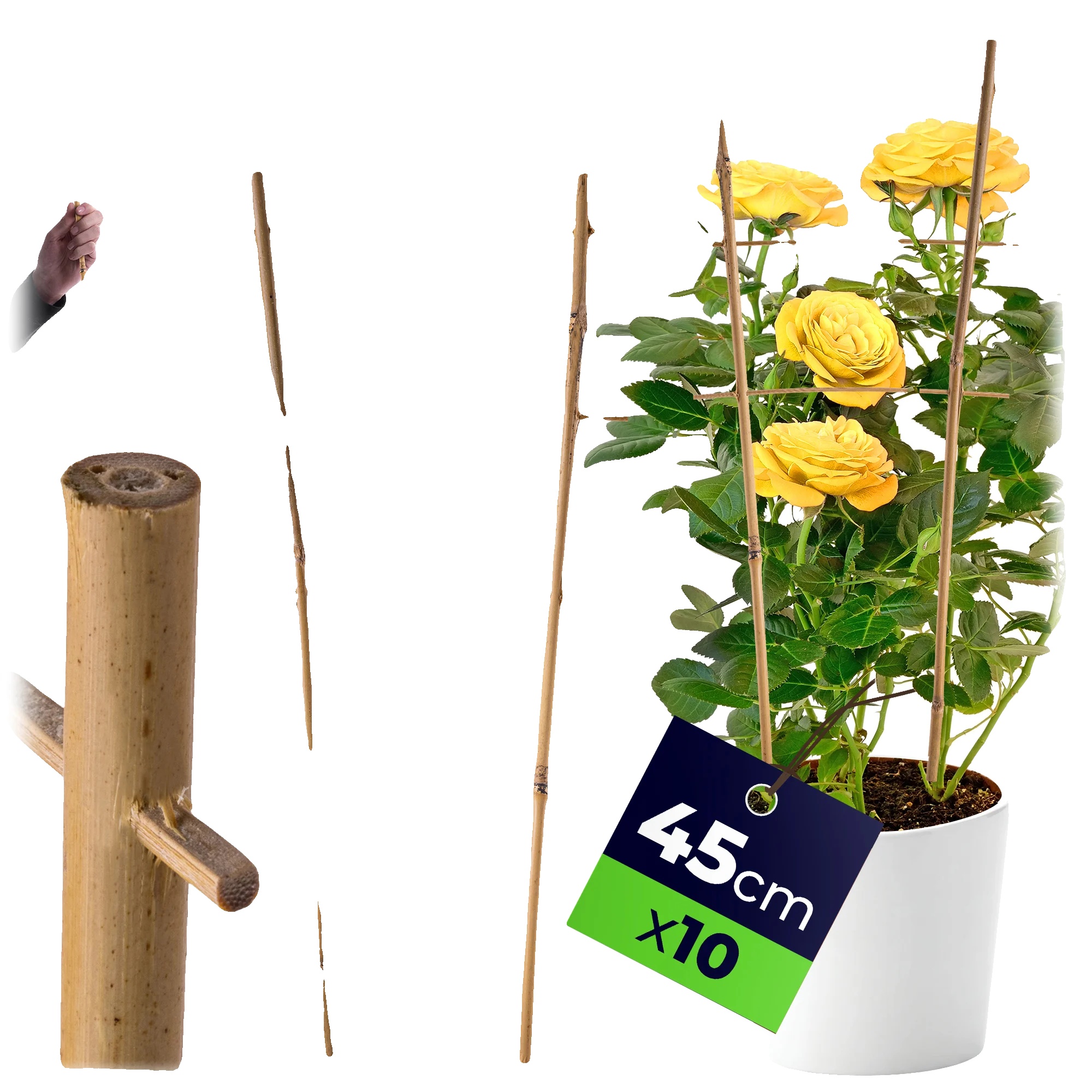 Bambuspflanzenstützleiter, 45 Cm Höhe, 10 Stück, Ideal Zur Unterstützung Von Blumen, Naturmaterial, Einfach Zu Verwenden