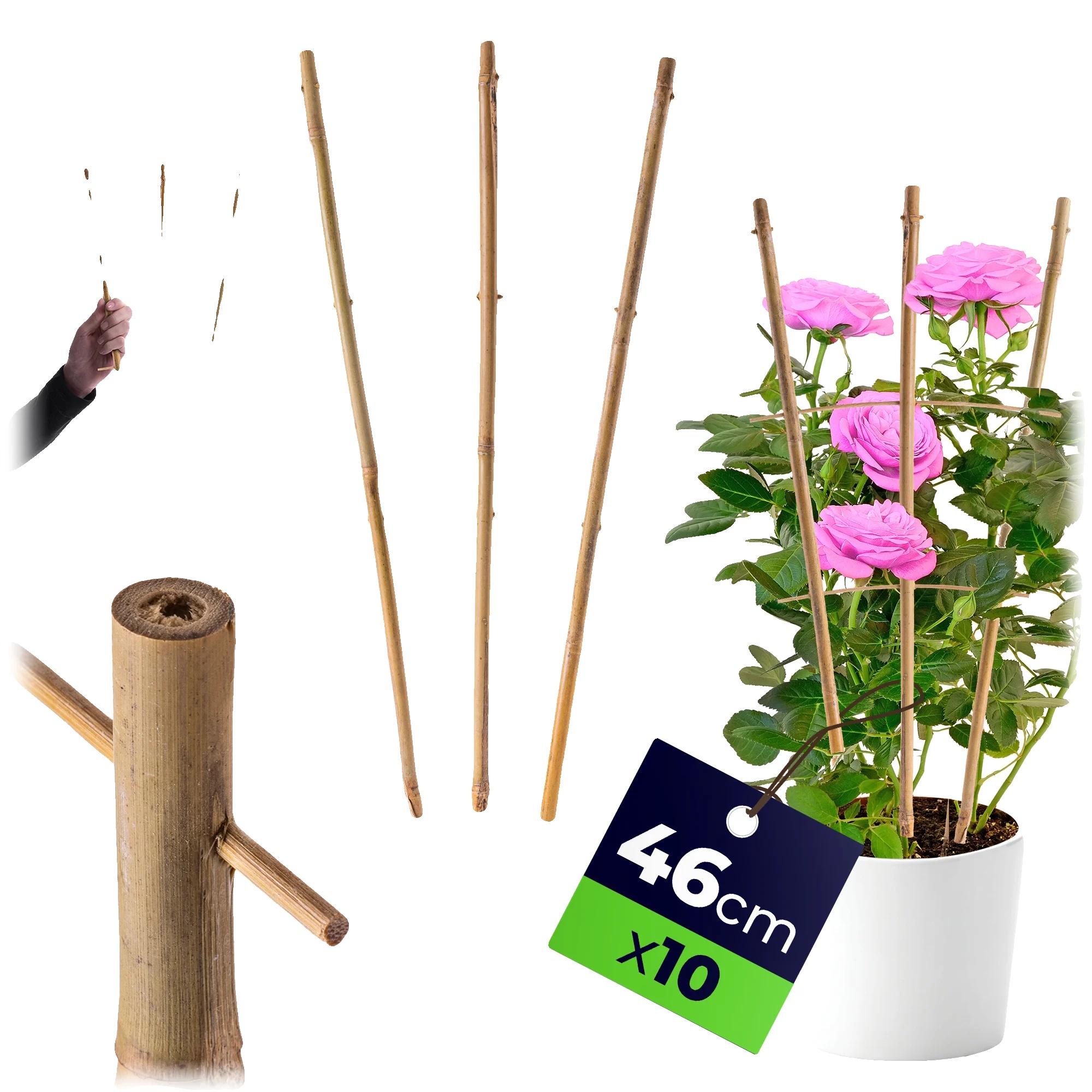 Bambusleiterstütze, 46 Cm, 10 Stück, Geeignet Für Verschiedene Pflanzen, Robuste Konstruktion, Verbessert Die Gartenästhetik