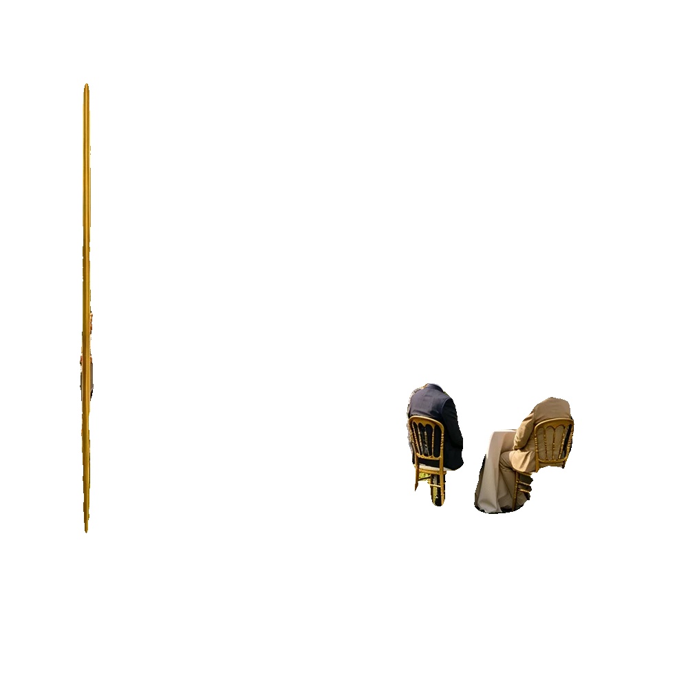 Hochzeitsbogen, Metallrahmen, Elegantes Design, Gold, 6.6x6.6 Ft