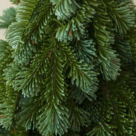 Künstlicher Weihnachtsbaum Aus Reinem Polyethylen, Imitation Einer Edeltanne, Tischdekoration Für Restaurant Oder Hotel, 30 Cm
