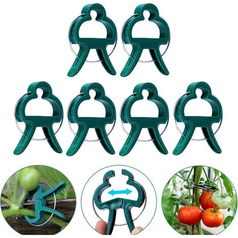 Packung Mit 20 Pflanzenclips: Große Pflanzenclips, Geeignet Für Den Garten – Wiederverwendbare Stützclips, Speziell Entwickelt Zur Unterstützung Der Stängel Von Kletterpflanzen Wie Blumen, L