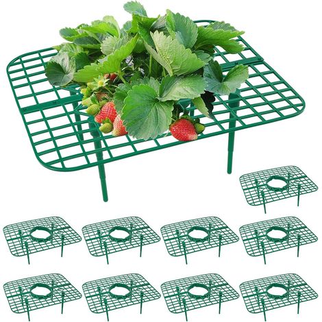 Set Mit 10 Erdbeerpflanzenstützen – Anzuchtstütze – Hält Die Früchte Sauber – Praktisches Regal Und Anzuchtgestell Für Erdbeeren