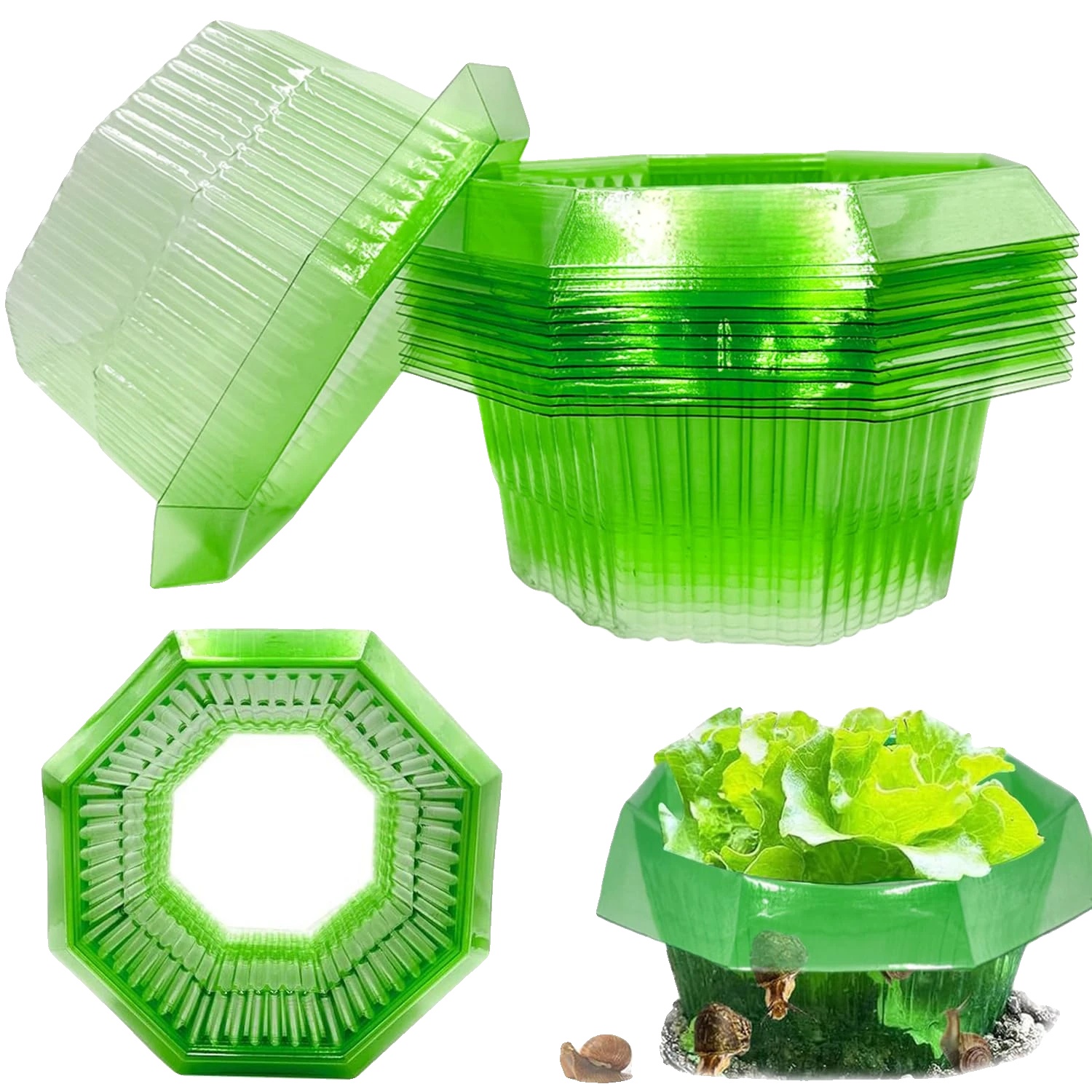 Pflanzenschutzkragen, Ø 24 Cm Durchmesser, 30 Stück Set, Flexibles Design, Wetterfest, Umweltfreundlich