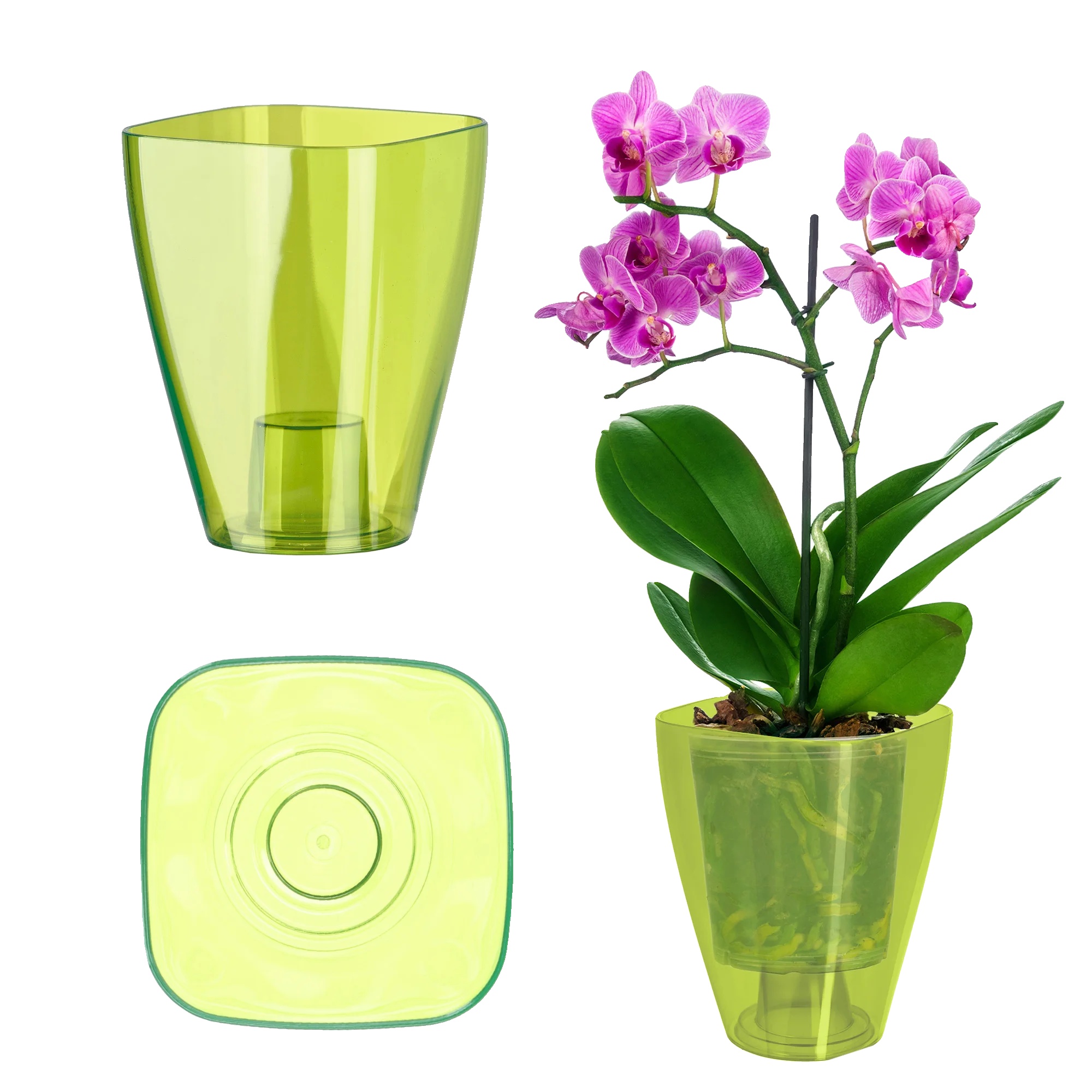Blumentopfdeckel, Elegantes Design, Universelle Kompatibilität, Grün, Klein-c