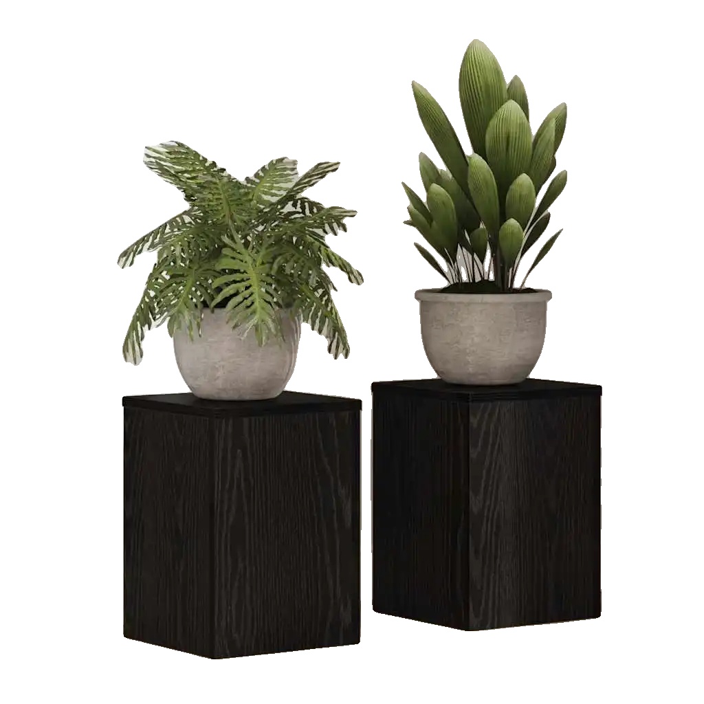 Pflanzenständer, Elegantes Holzdesign, Platzsparende Lösung, Armeegrün