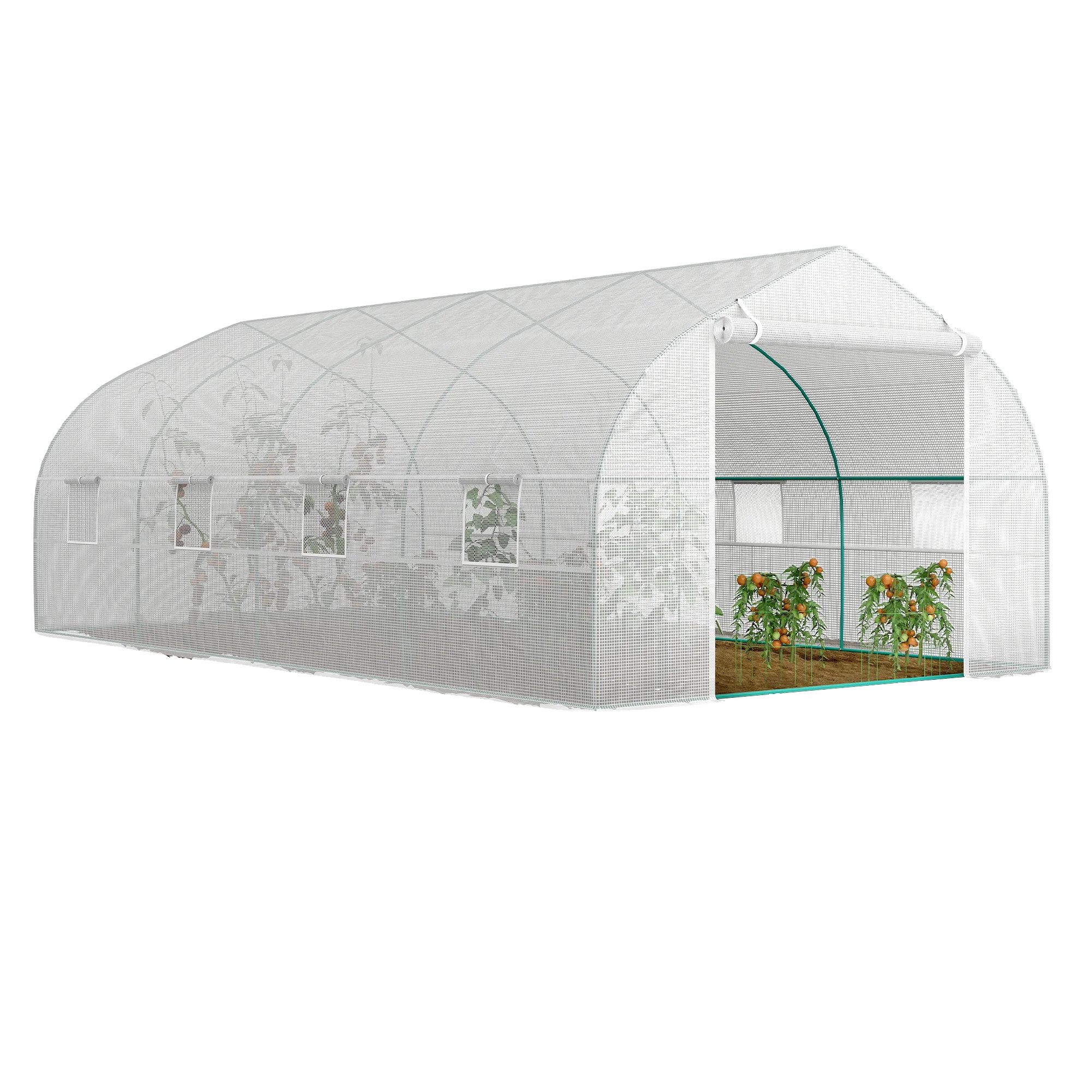 Gewächshaus, Robuste Konstruktion, Reichlich Natürliches Licht, Armeegrün