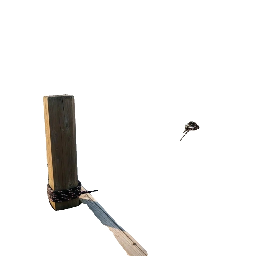 Seil, 6 Mm Durchmesser, 50 Meter Länge, Armeegrün