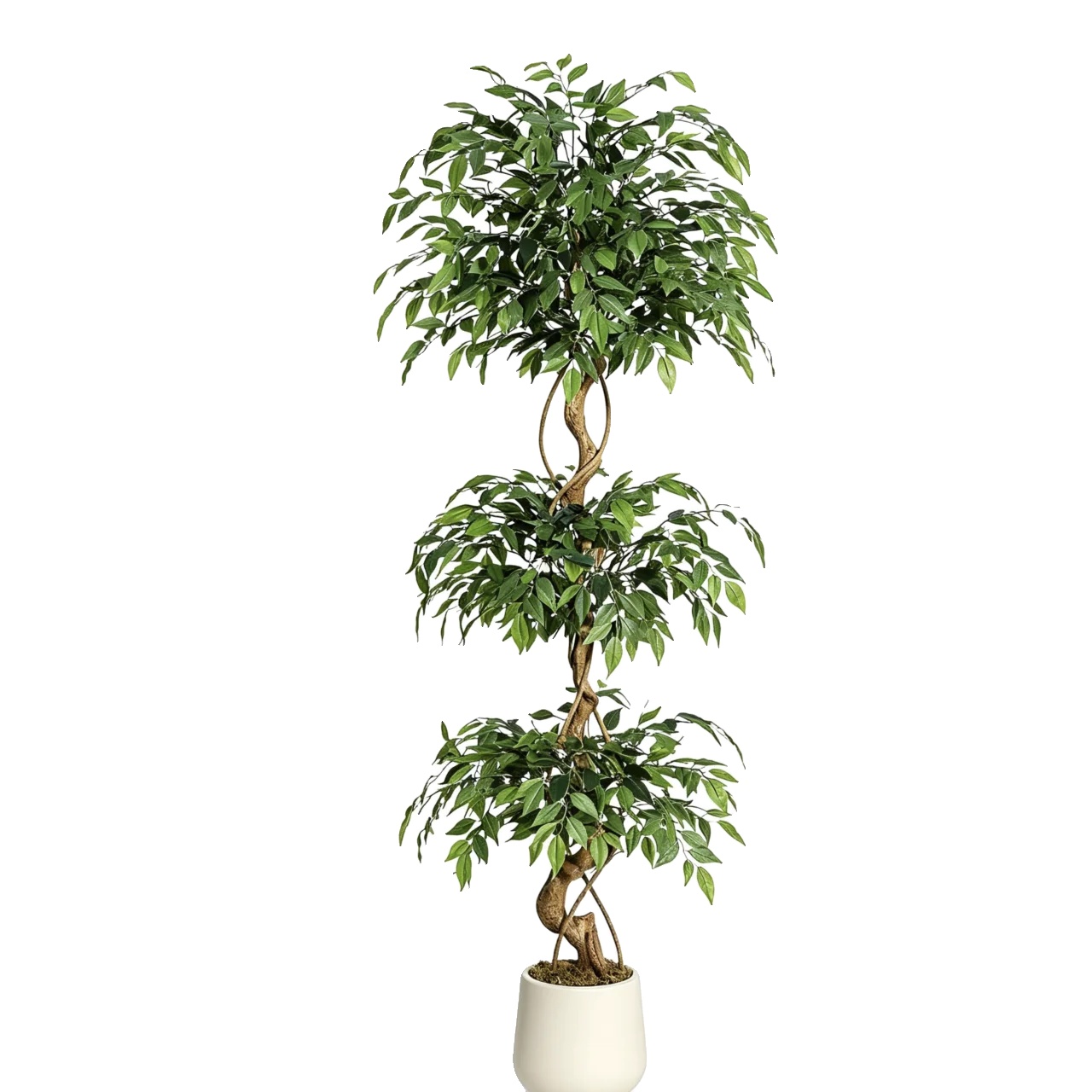 Künstlicher Banyanbaum, 1,80 M Höhe, 65 × 65 Basisdimensionen, Für Den Innenbereich, Langlebiges Pe-material, Gedrehter Stamm-design