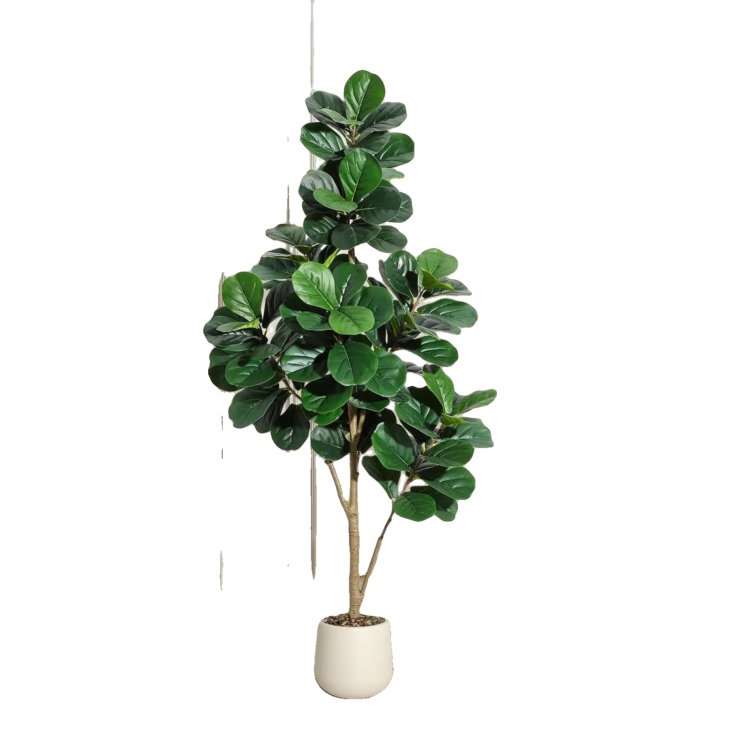 Geigenfeige, 1,80 M Höhe, 108 Blätter, 23 Cm Blumentopf, Beschwerte Zementbasis, Hochdichtes Pvc