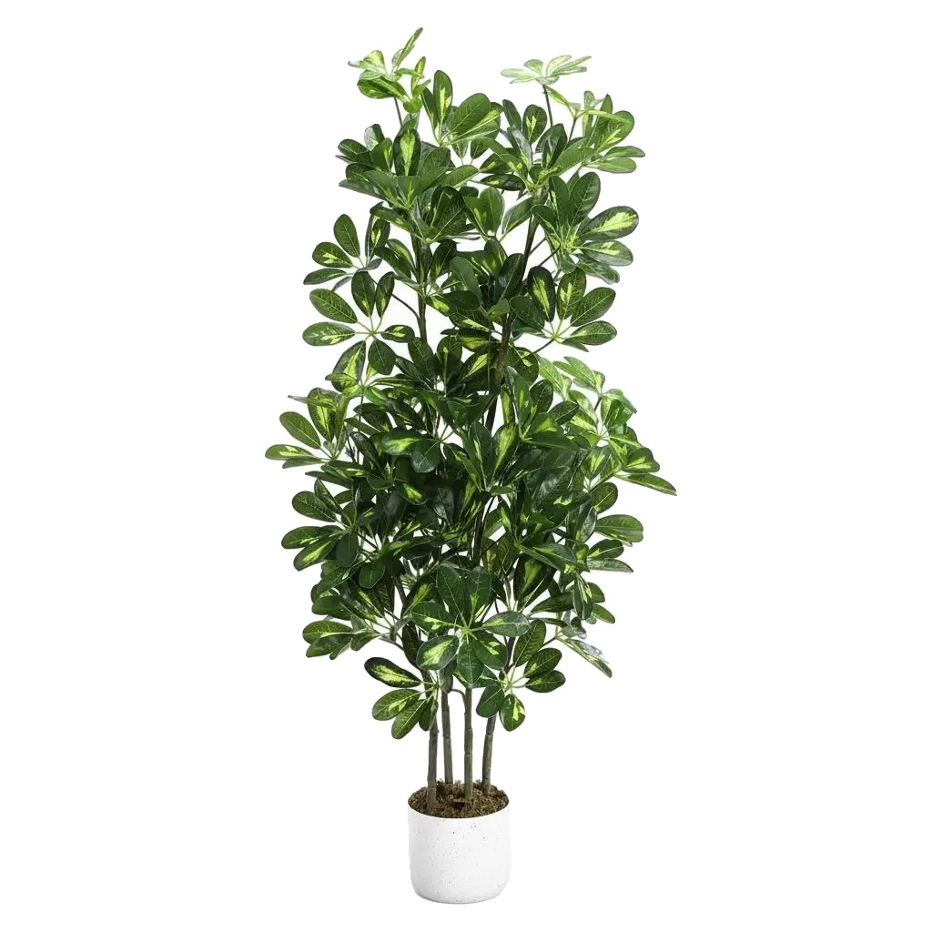 Künstliche Pflanze, Höhe 1,2 M, Material Peva, Behältertyp Topf, Platzierung Boden, Pflanzenstil Bonsai