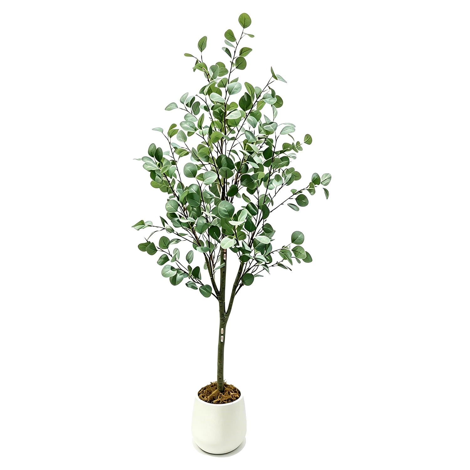 Künstlicher Eukalyptusbaum, Lebensechte Blätter, Wartungsfreies Design, Grün-c, 210cm