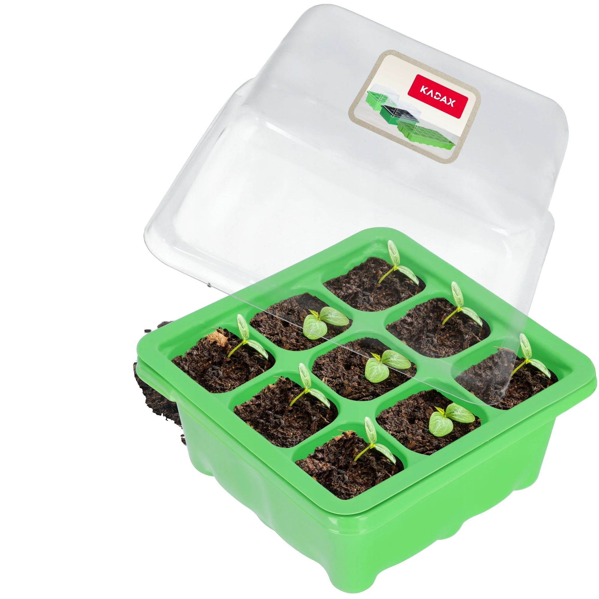 Mini-gewächshaus, 9-zellen Aussaattray, Hält Die Feuchtigkeit, Schützt Setzlinge, Kompaktes Design, Ideal Für Die Gartenarbeit Zu Hause