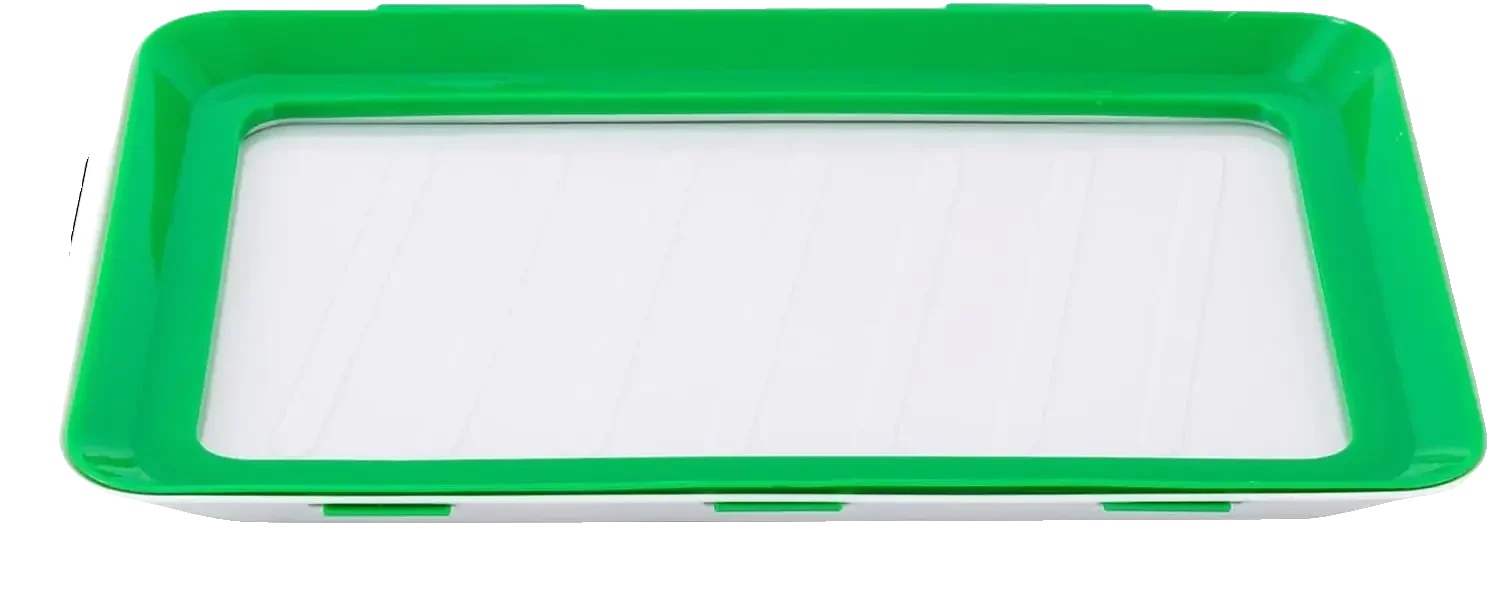 Lebensmittelaufbewahrungstablett, Stapelbares Design, 4-teiliges Set, Grün