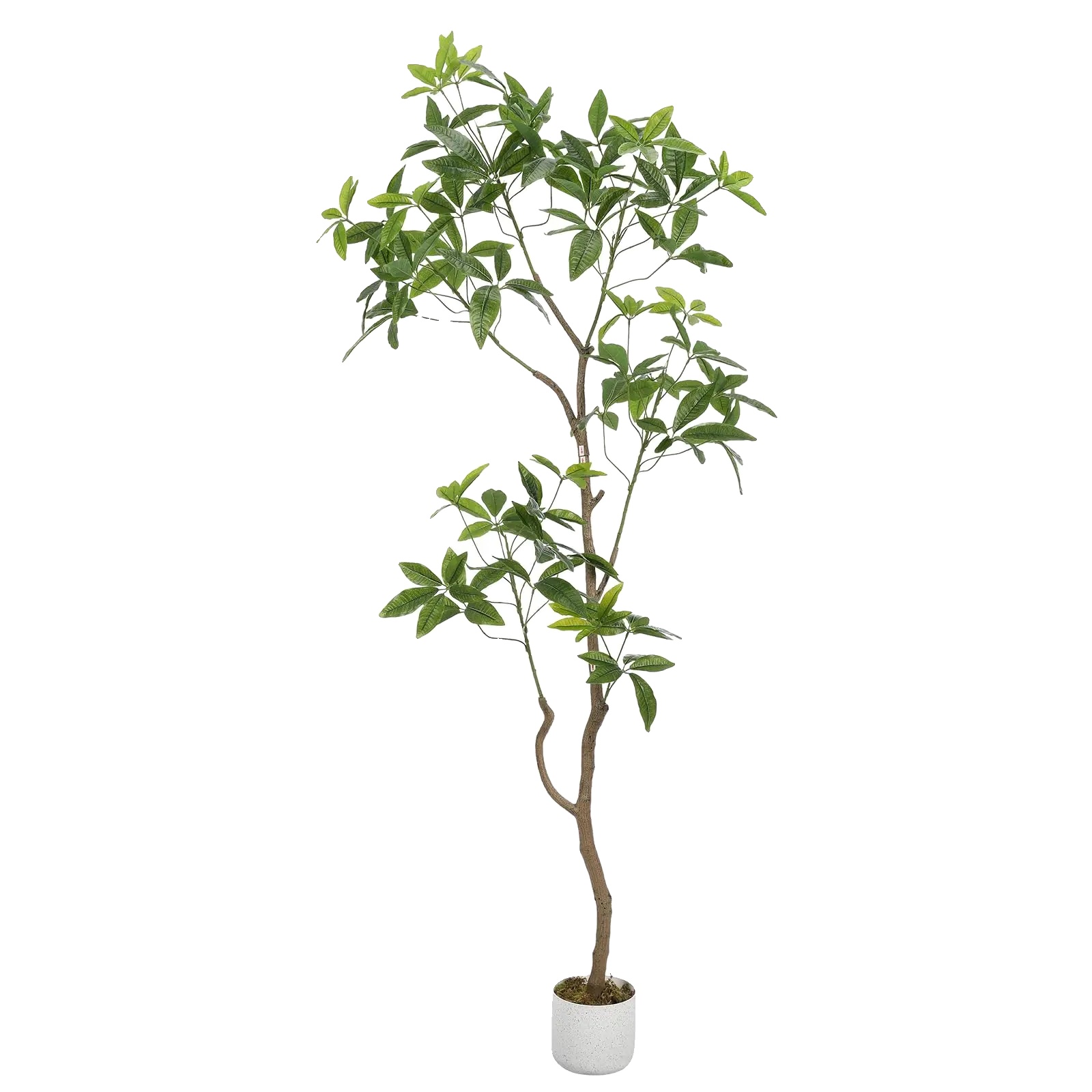Künstlicher Schefflera-regenschirmbaum, Realistisches Design, Pflegefrei, 160cm