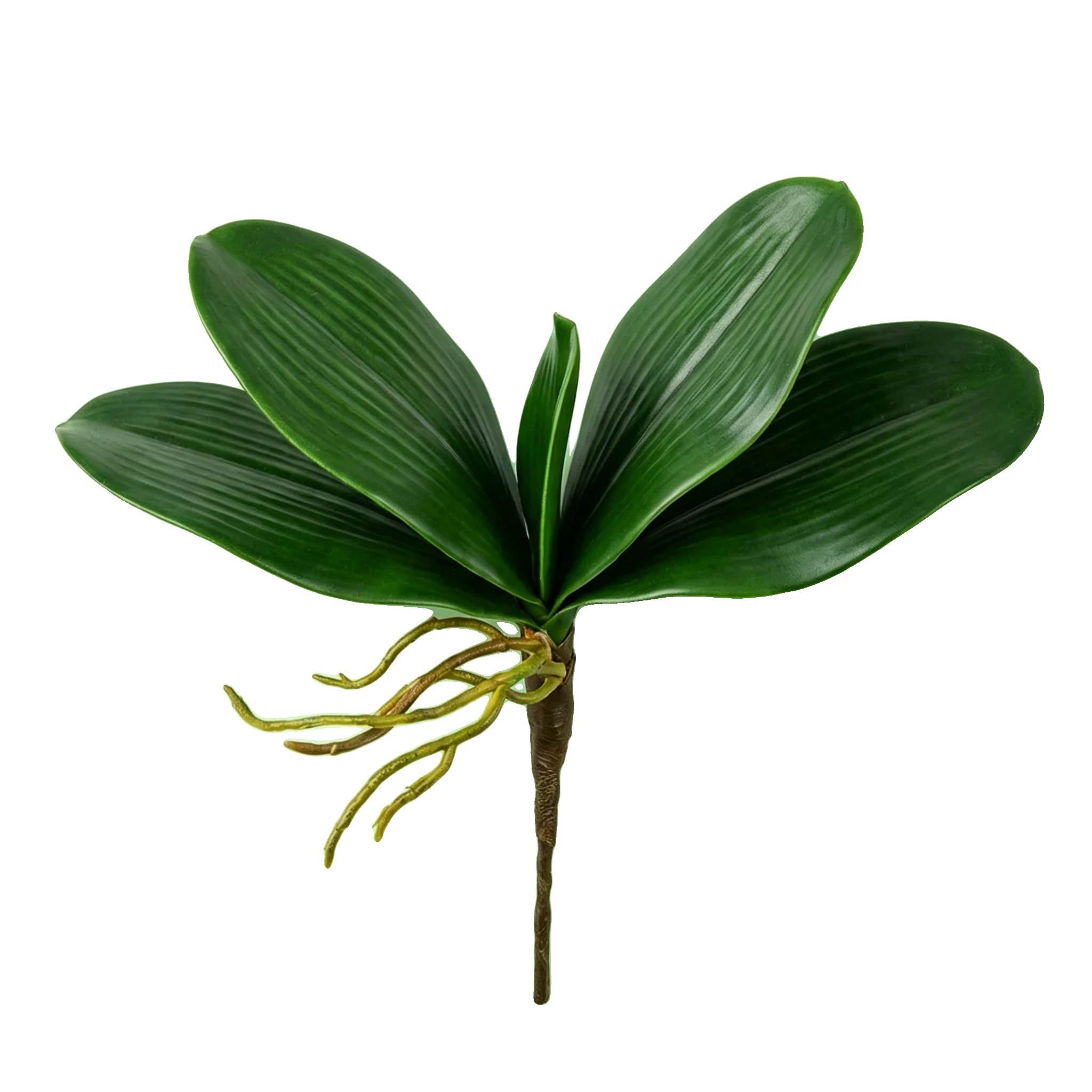 Künstliche Orchideenblätter, Realistisches Design, Ideal Zur Dekoration, 1 Stück