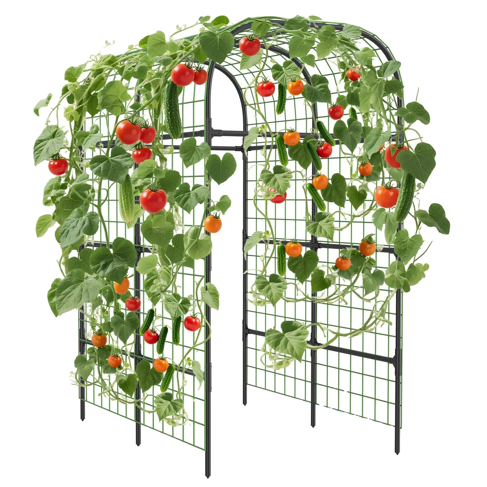 Gartenbogen-spalier, Metallkonstruktion, 124 Cm Breite, 180 Cm Tiefe, 224 Cm Höhe, Strapazierfähige Unterstützung