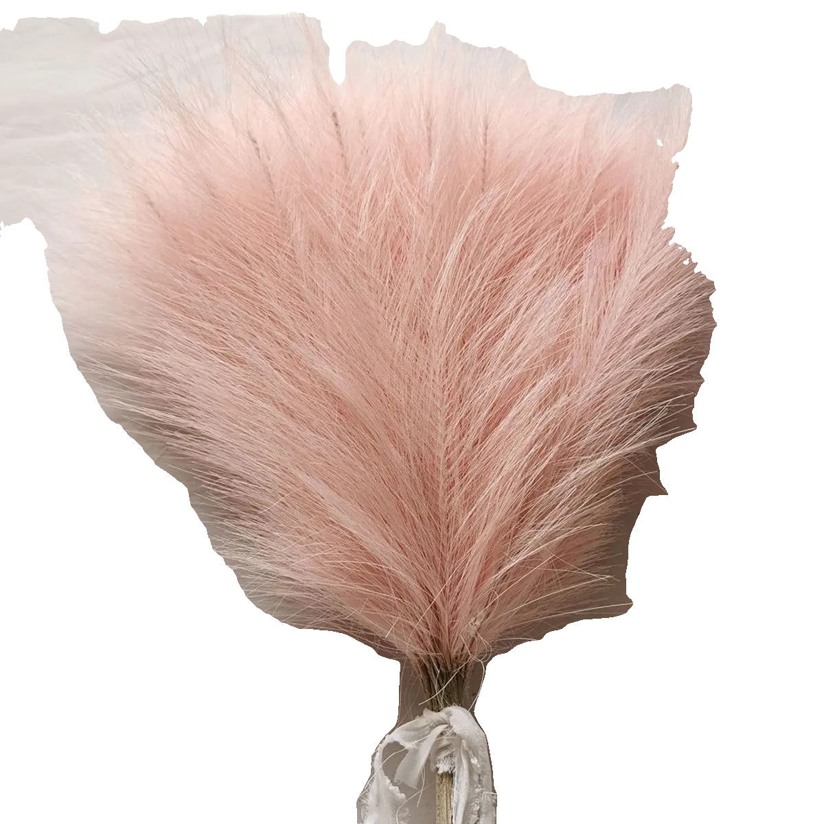 Künstliches Pampasgras, Vielseitige Dekoration, Langlebiges Design, 5stück-d, Farbe 5