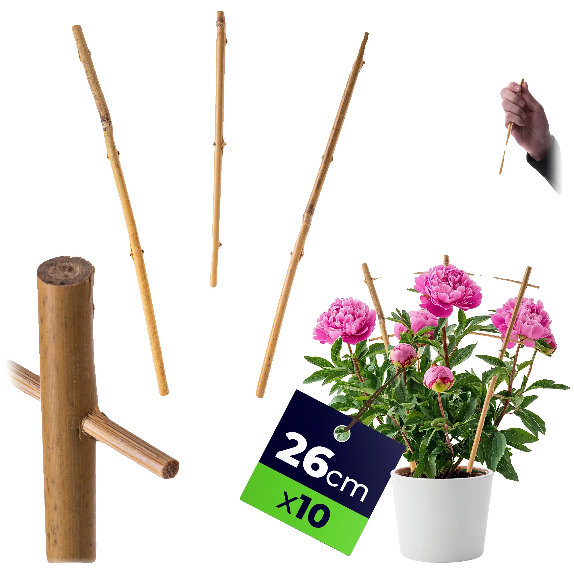 Bambusleiterstütze, 26 Cm Höhe, 10 Stück, Geeignet Zur Unterstützung Von Pflanzen, Natürliche Dekoration, Fördert Das Pflanzenwachstum