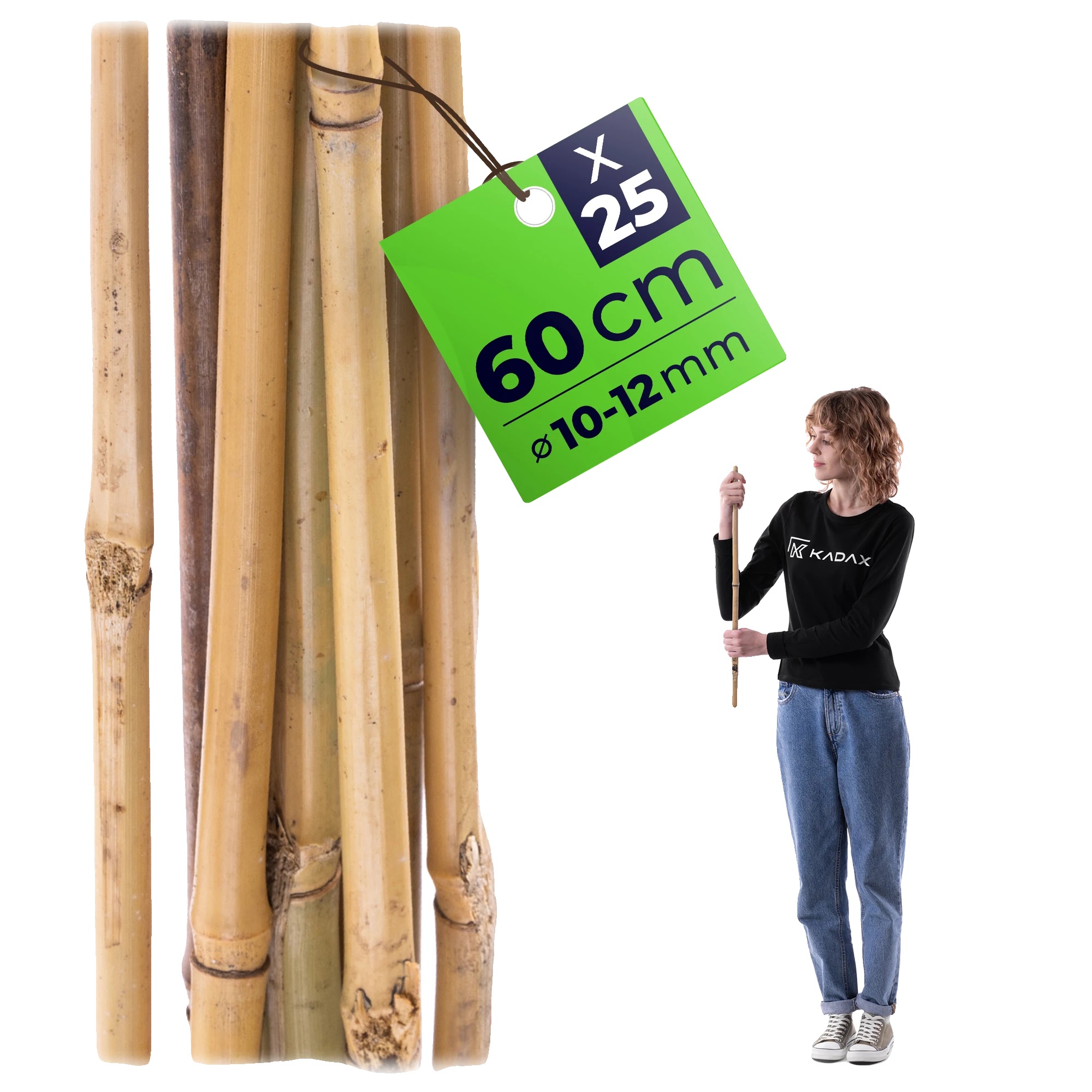 Bambus Pflanzenstütze, 60 Cm Länge, 10/12 Mm Durchmesser, 25 Stück, Umweltfreundliches Material, Vielseitig Für Verschiedene Pflanzen