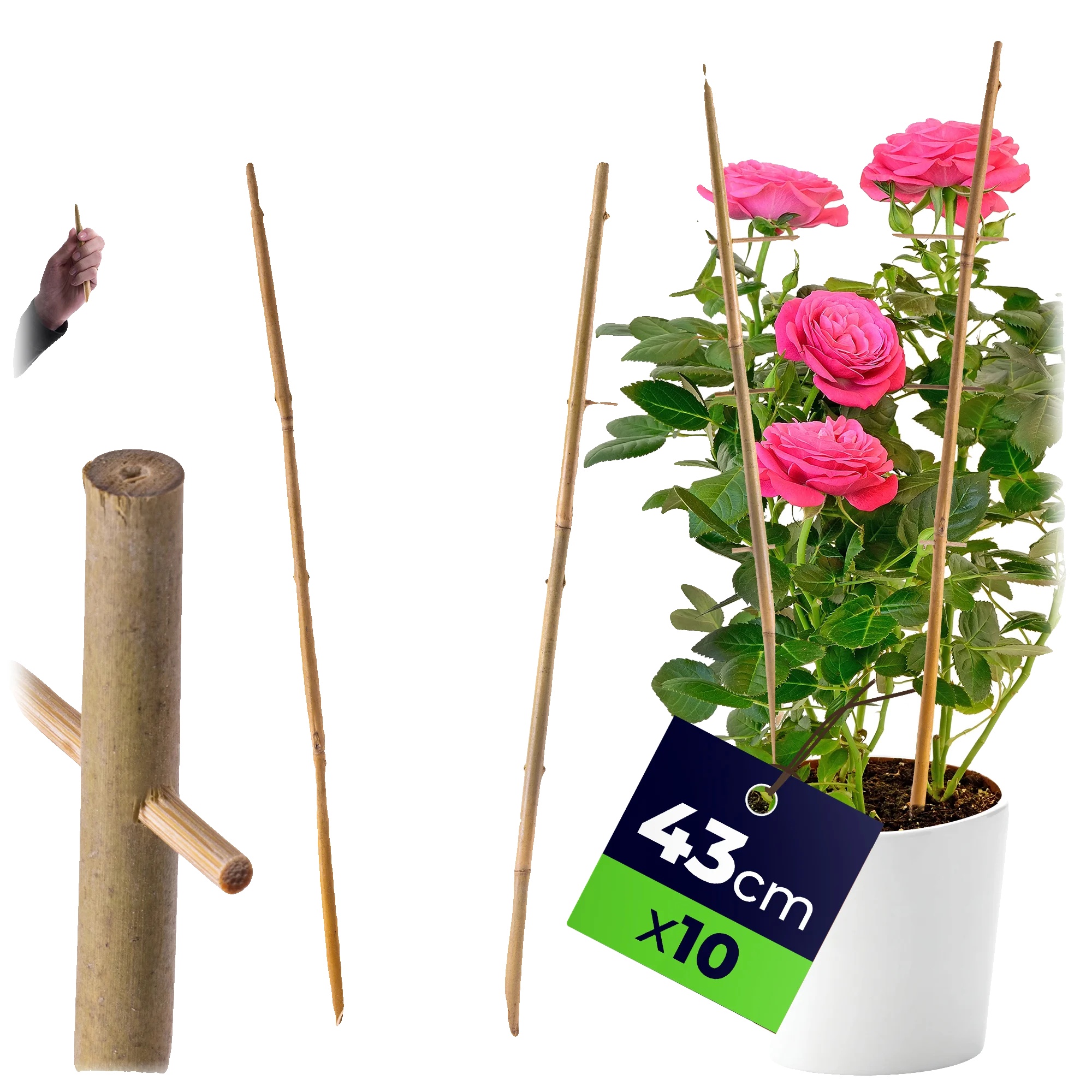 Bambusleiterstütze, 43 Cm Höhe, 10 Stück, Pflanzenkompatibilität, Dekoratives Design, Einfach Zu Verwenden