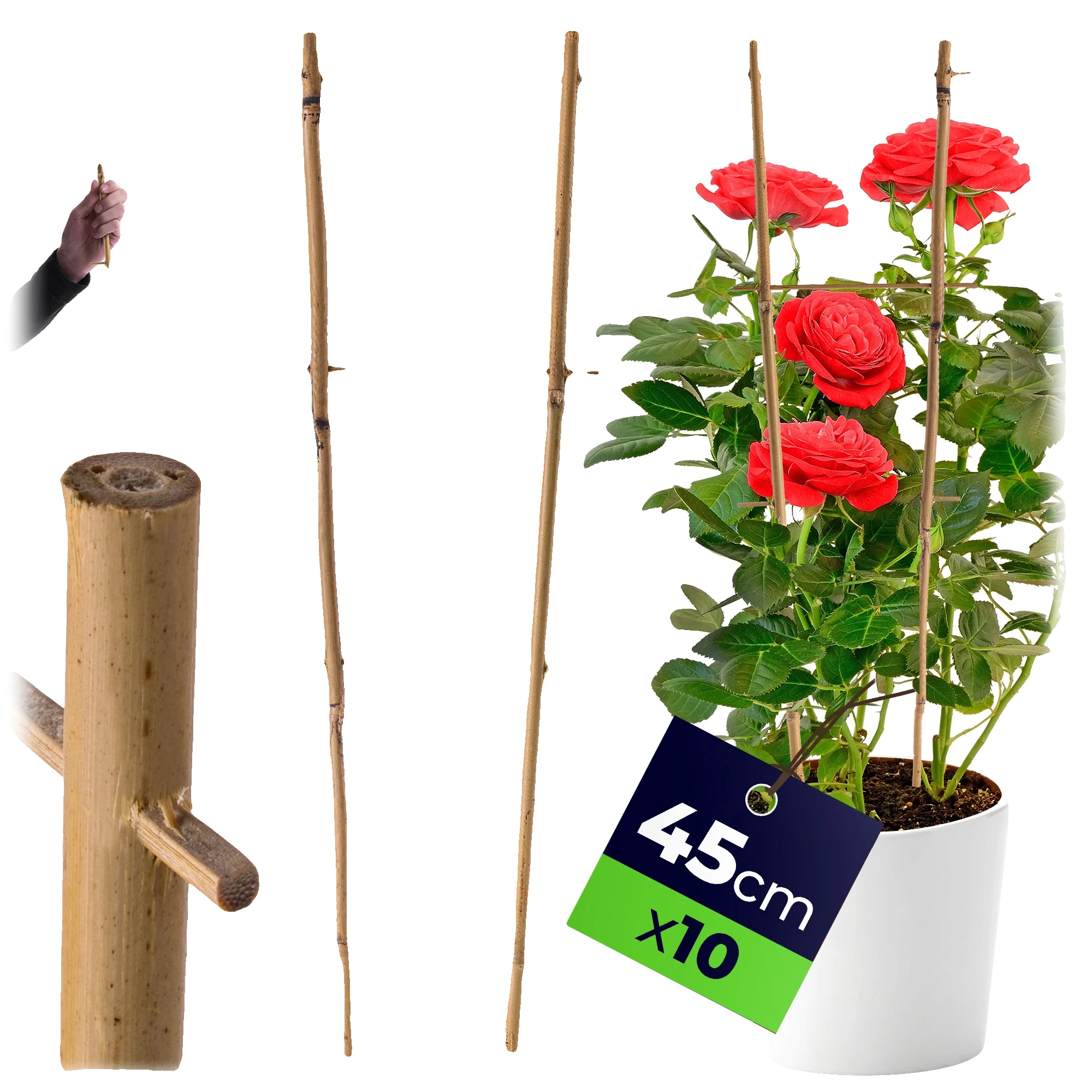 Pflanzenstützleiter, Bambusmaterial, 45 Cm Höhe, Set Aus 10 Stück, Mehrstufiges Design, Pflanzenkompatibilität