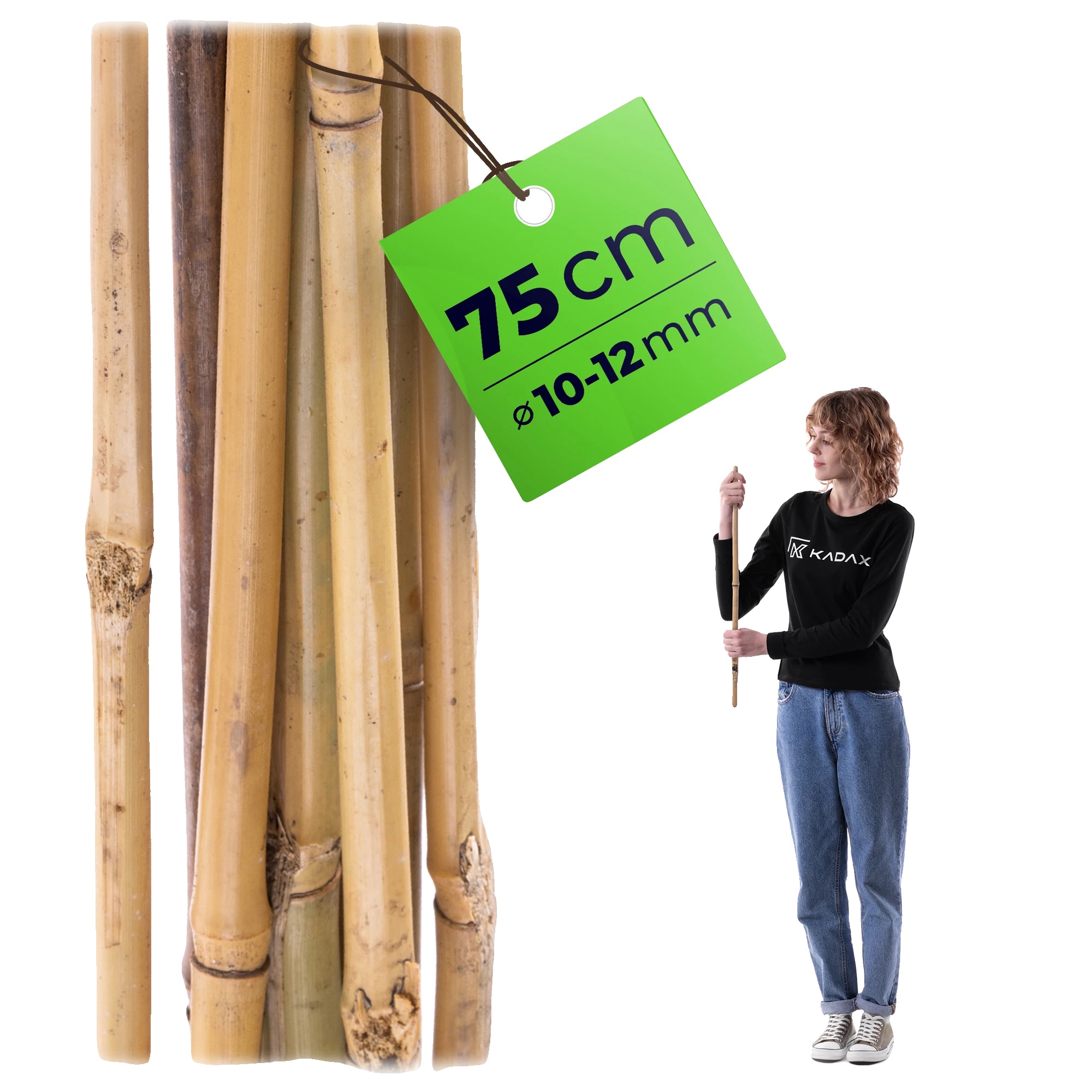 Bambus-pflanzenstütze, Naturmaterial, 75 Cm Höhe, 12 Mm Durchmesser, Leicht Für Stabilität, Unterstützt Tomaten Und Blühende Pflanzen