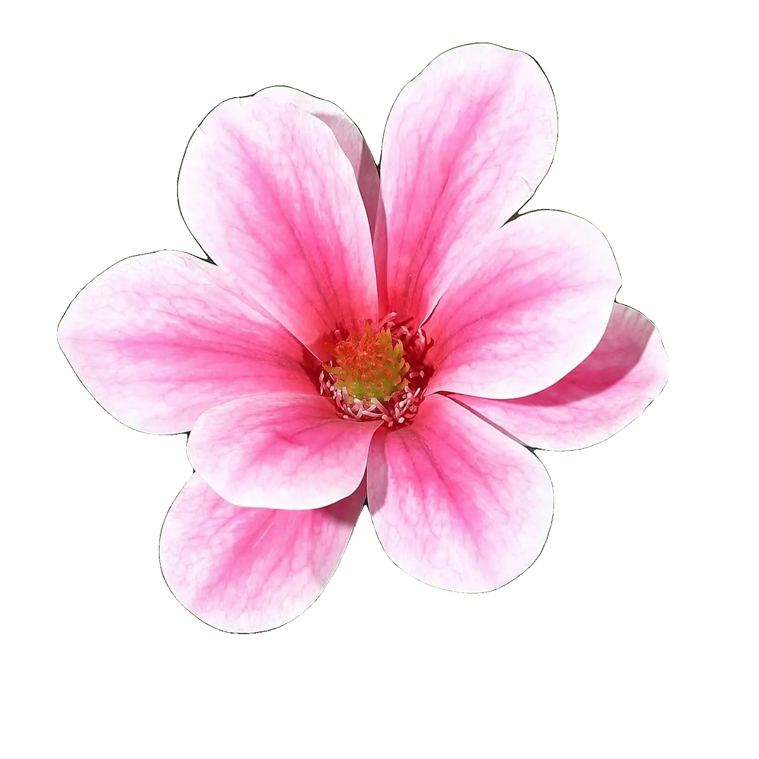 Künstlicher Baum, Realistisches Design, Keine Wartung Erforderlich, Rosa Blumen-b, 150cm