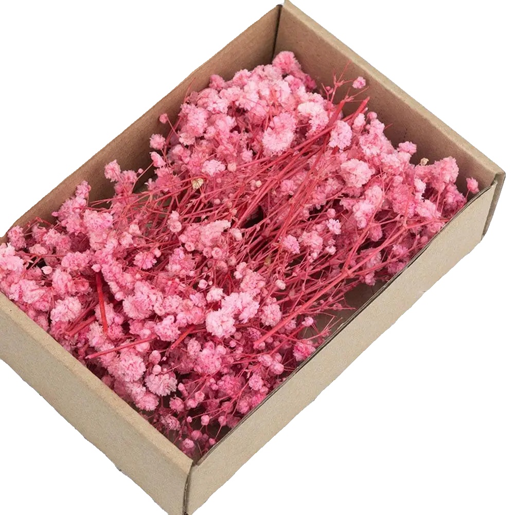 Gypsophila Trockenblumen, Lebendige Farben, Vielseitige Blumenarrangements, Rosa